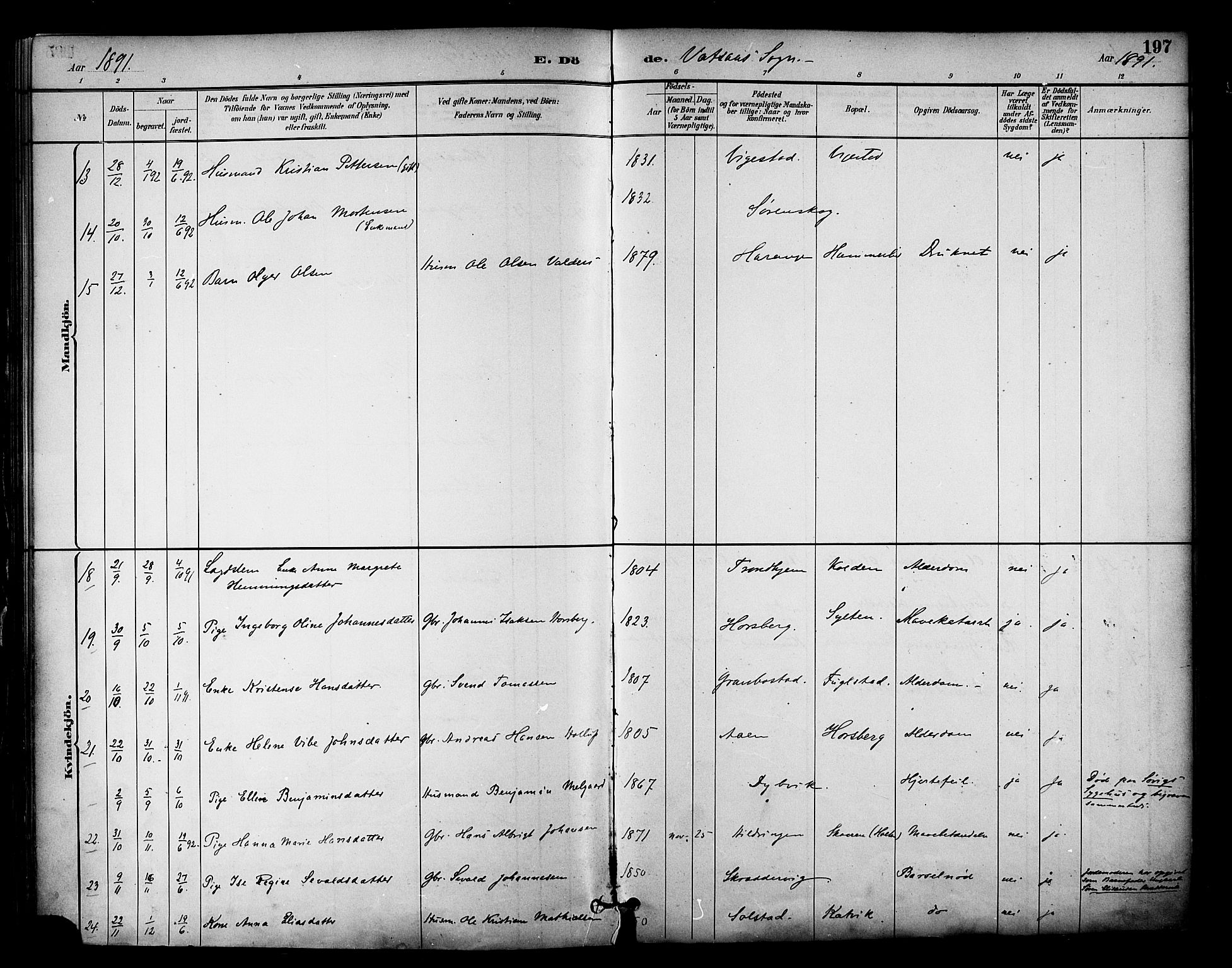 Ministerialprotokoller, klokkerbøker og fødselsregistre - Nordland, AV/SAT-A-1459/810/L0150: Parish register (official) no. 810A10 /1, 1884-1895, p. 197