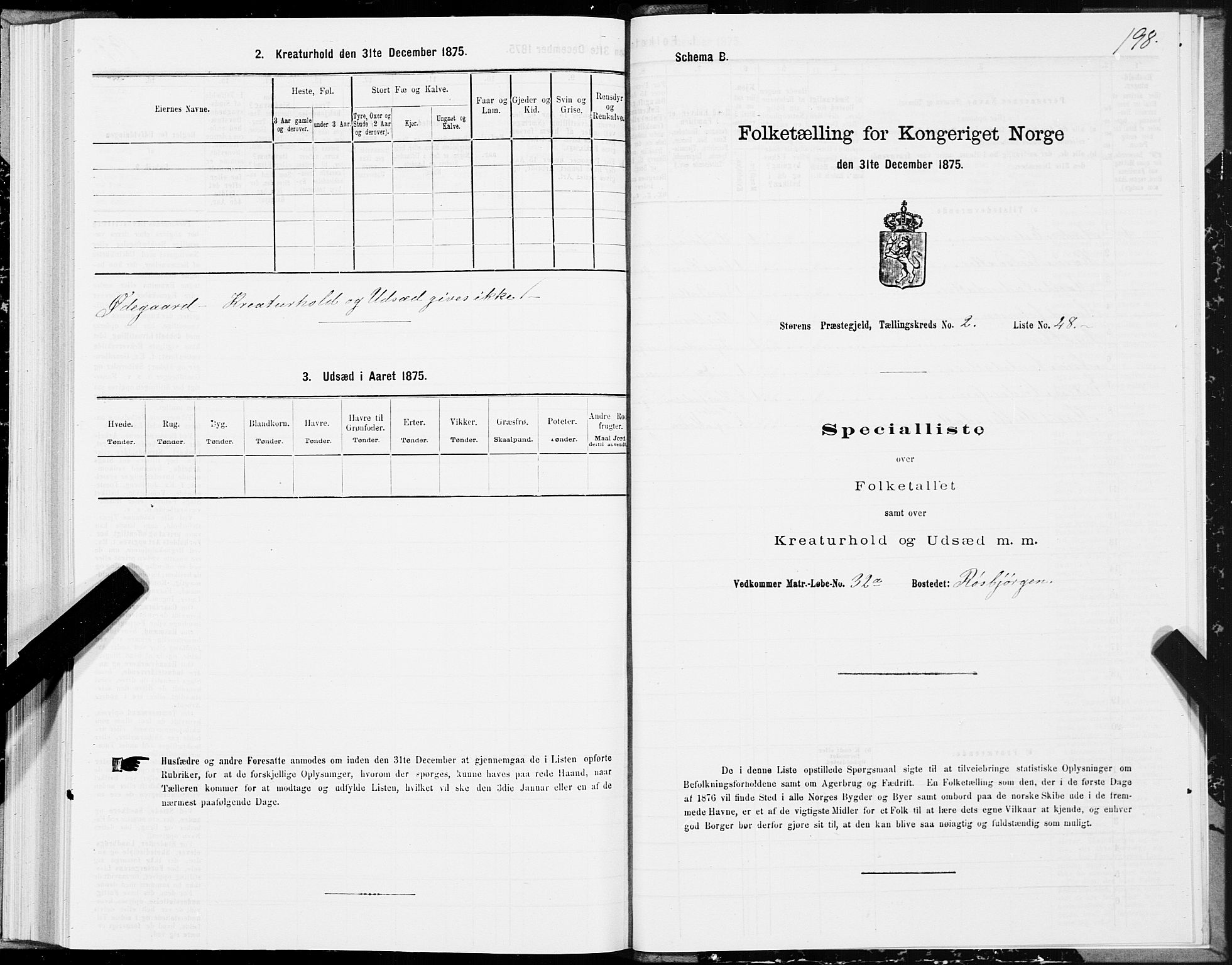 SAT, 1875 census for 1648P Støren, 1875, p. 1198