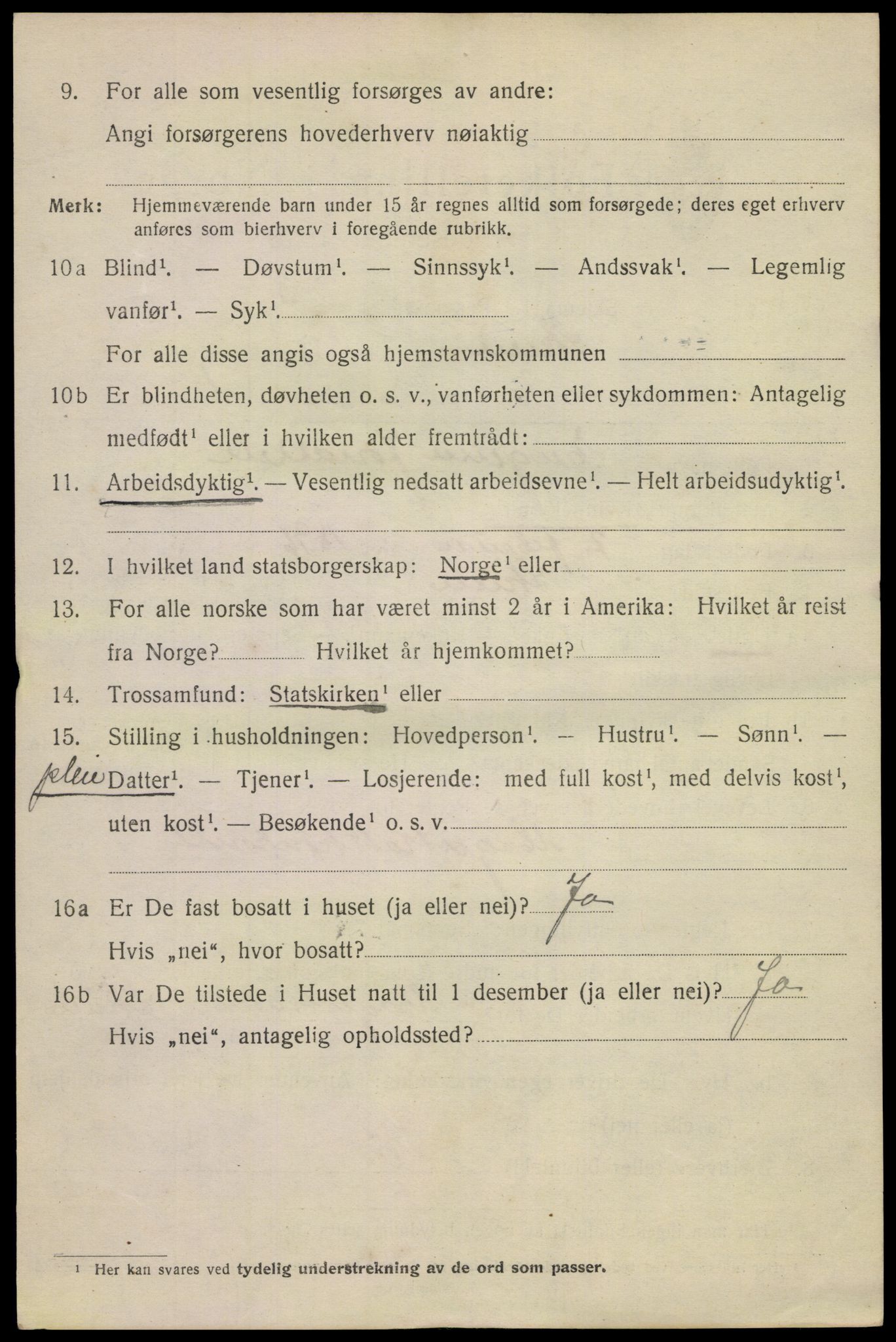 SAKO, 1920 census for Skien, 1920, p. 16833