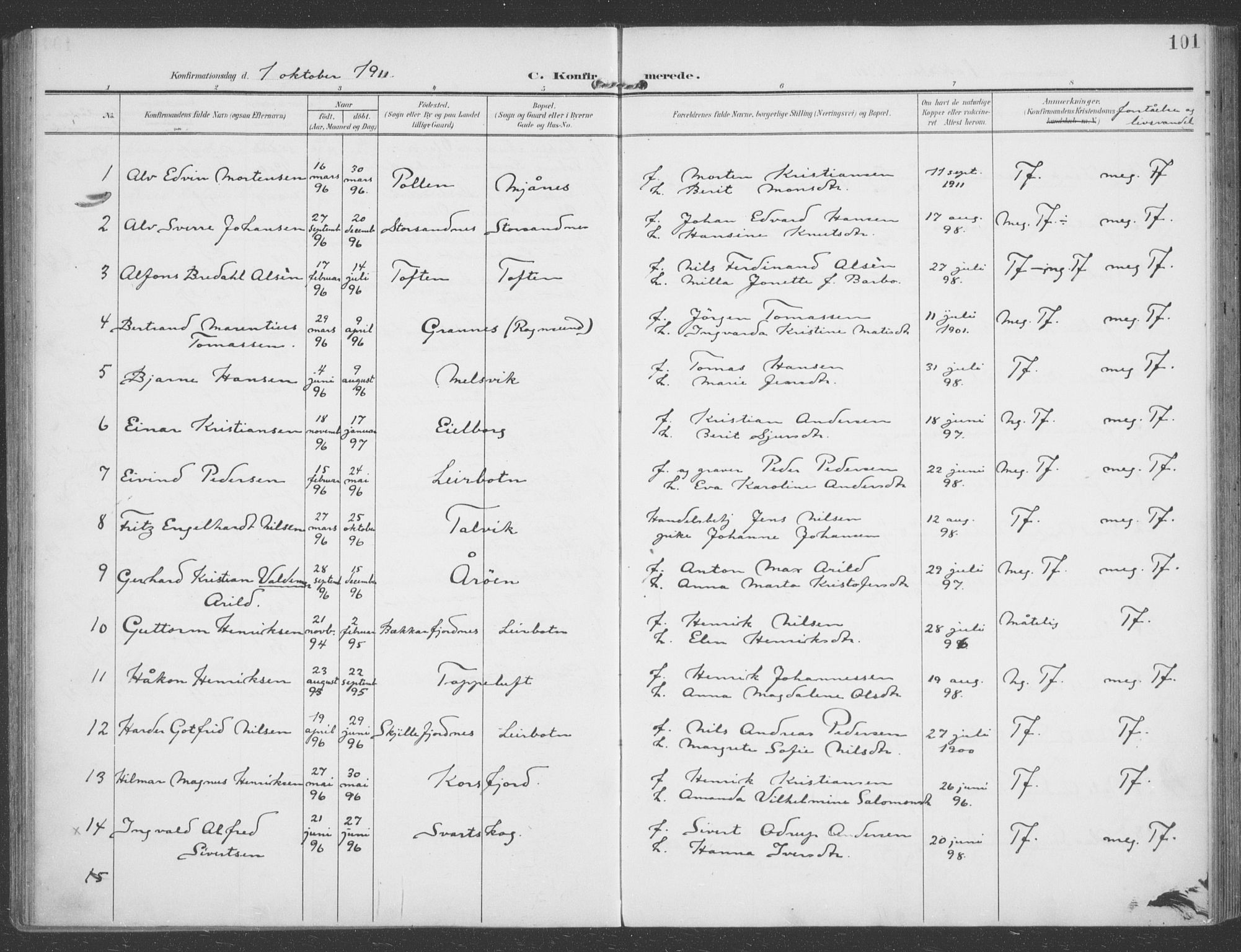 Talvik sokneprestkontor, AV/SATØ-S-1337/H/Ha/L0017kirke: Parish register (official) no. 17, 1906-1915, p. 101