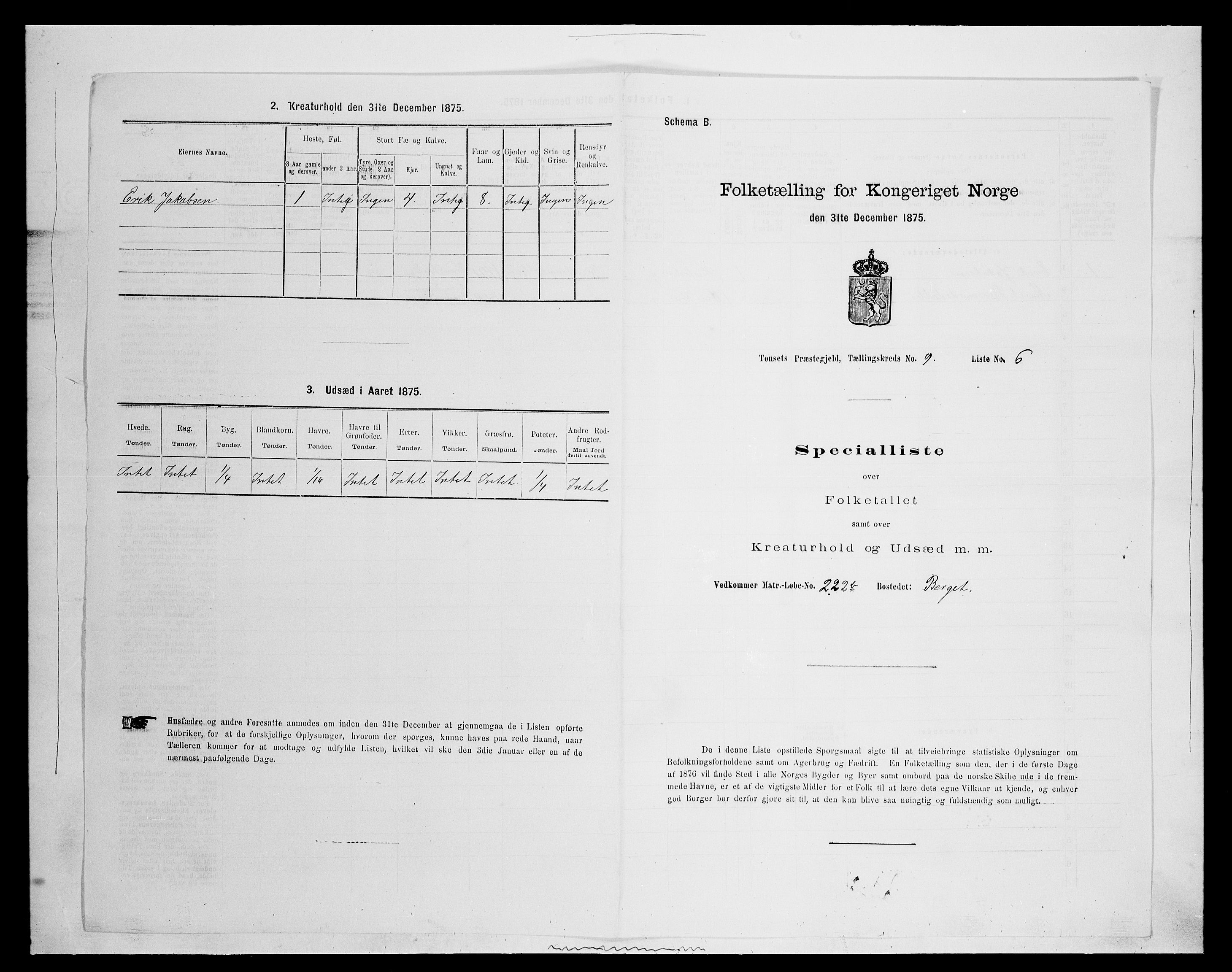 SAH, 1875 census for 0437P Tynset, 1875, p. 915