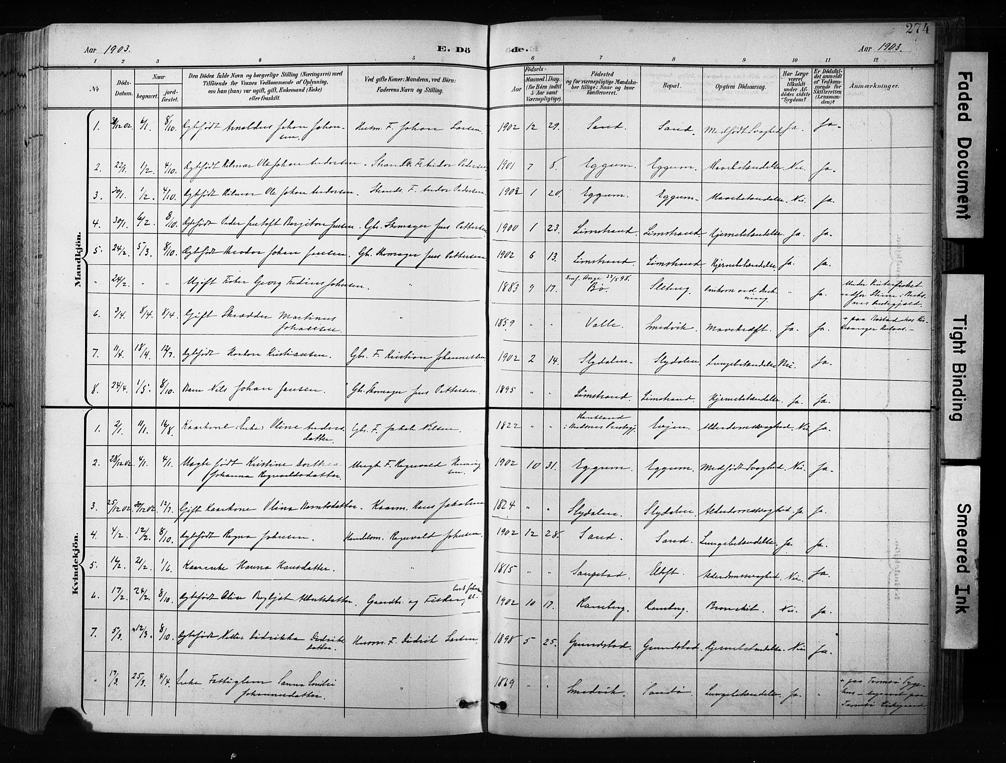 Ministerialprotokoller, klokkerbøker og fødselsregistre - Nordland, SAT/A-1459/880/L1134: Parish register (official) no. 880A08, 1899-1908, p. 274