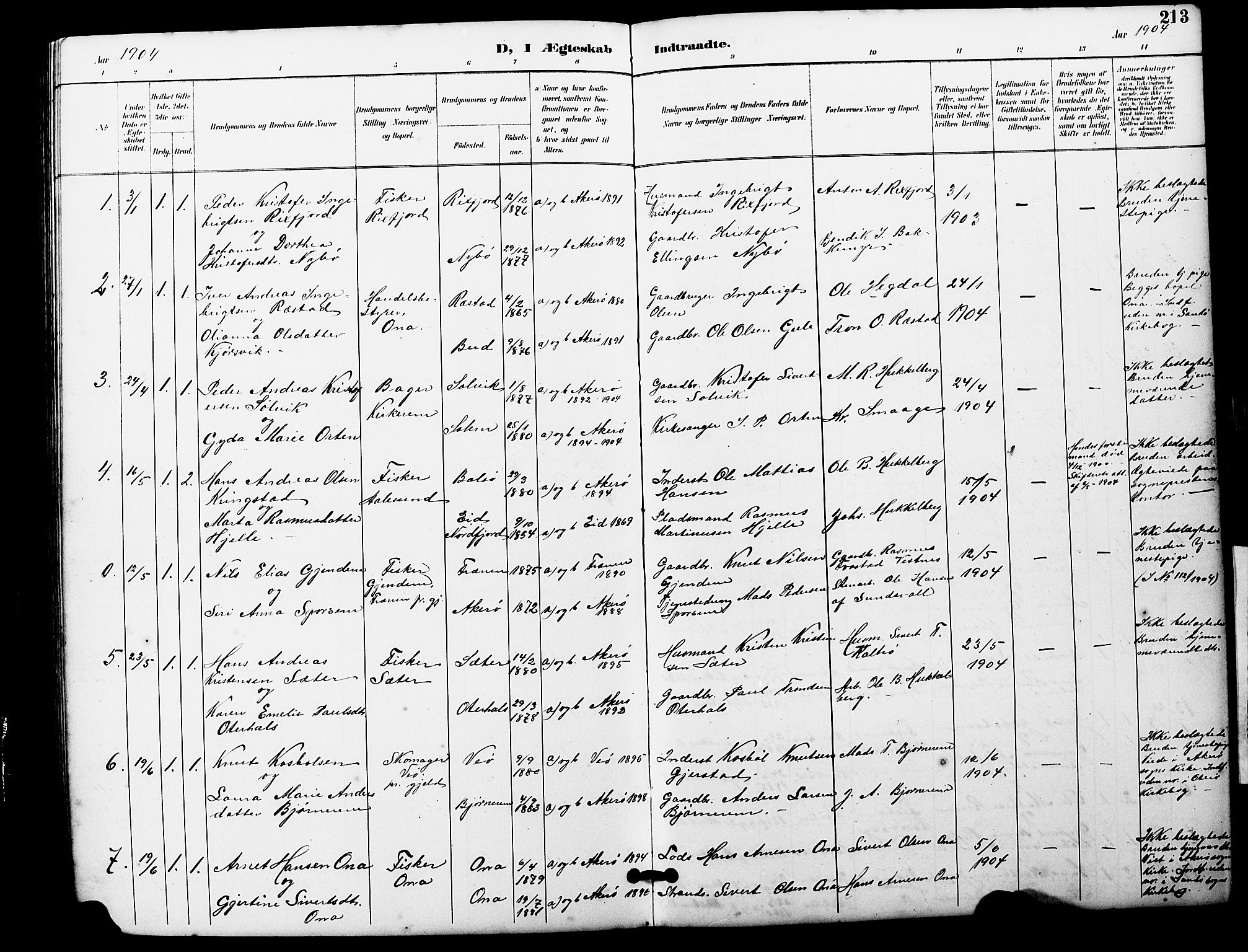 Ministerialprotokoller, klokkerbøker og fødselsregistre - Møre og Romsdal, SAT/A-1454/560/L0725: Parish register (copy) no. 560C02, 1895-1930, p. 213