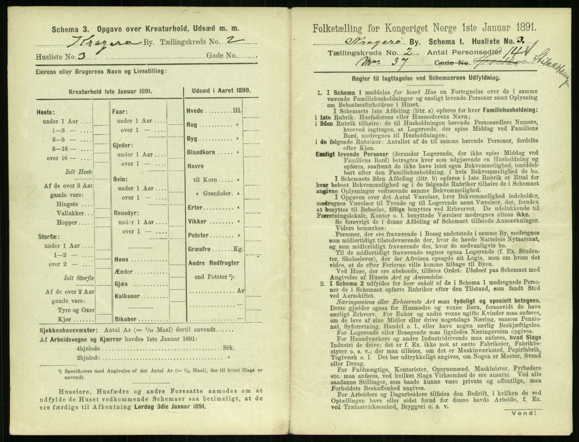 RA, 1891 census for 0801 Kragerø, 1891, p. 296