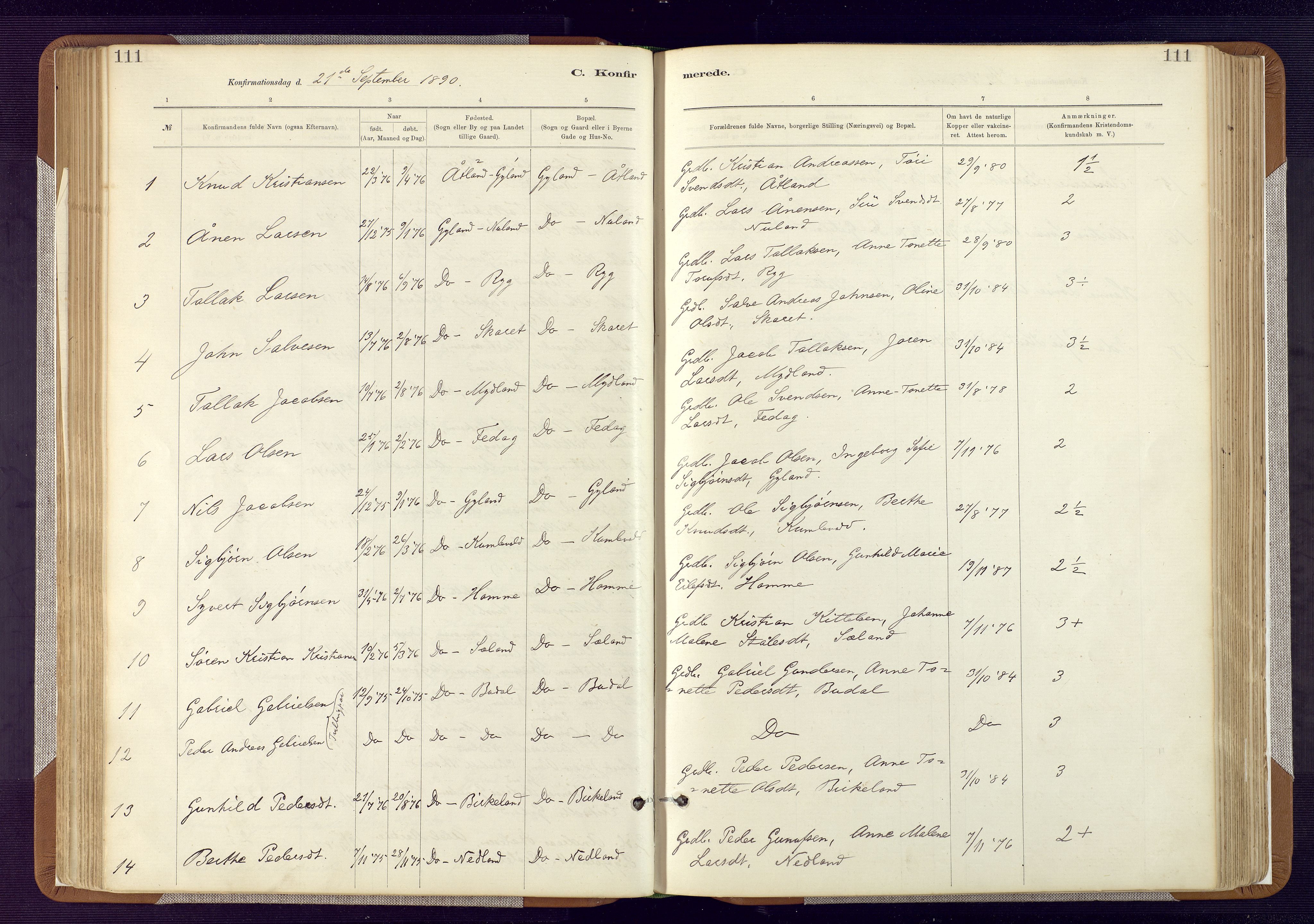Bakke sokneprestkontor, SAK/1111-0002/F/Fa/Fab/L0003: Parish register (official) no. A 3, 1884-1921, p. 111