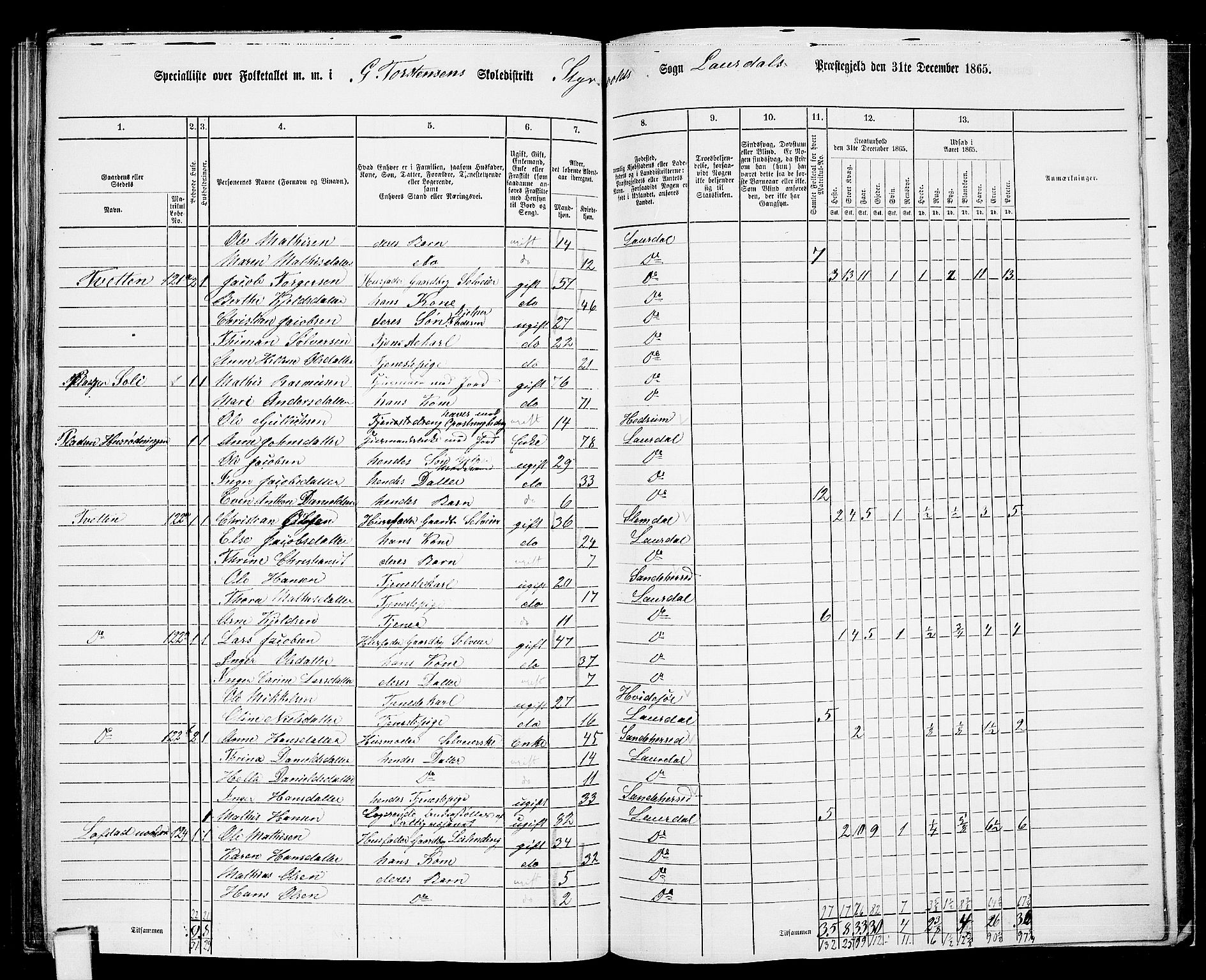 RA, 1865 census for Lardal, 1865, p. 96