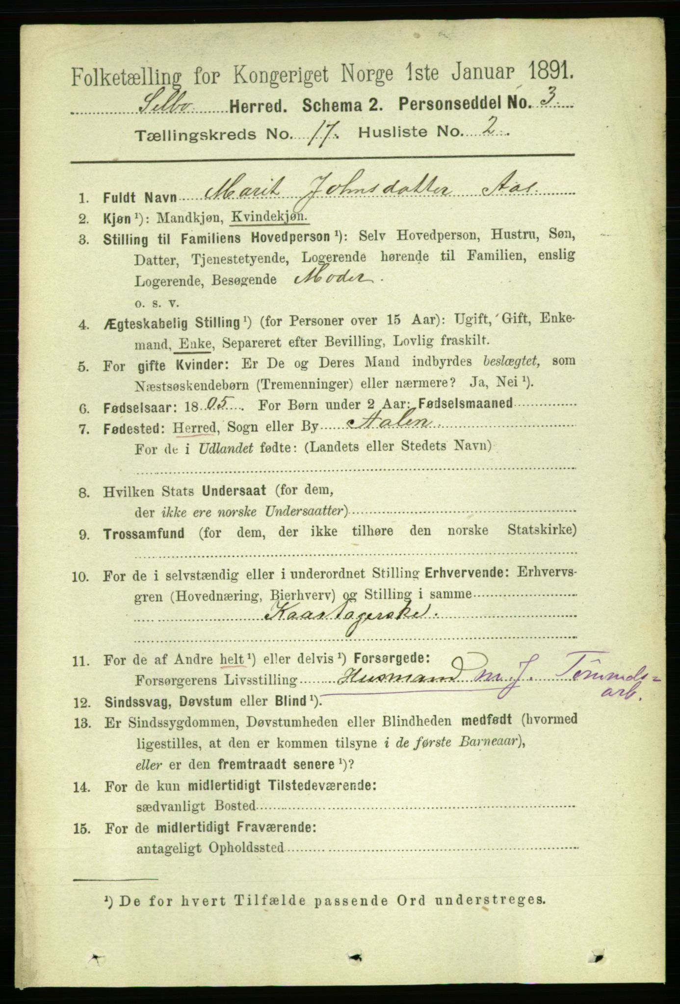 RA, 1891 census for 1664 Selbu, 1891, p. 6067