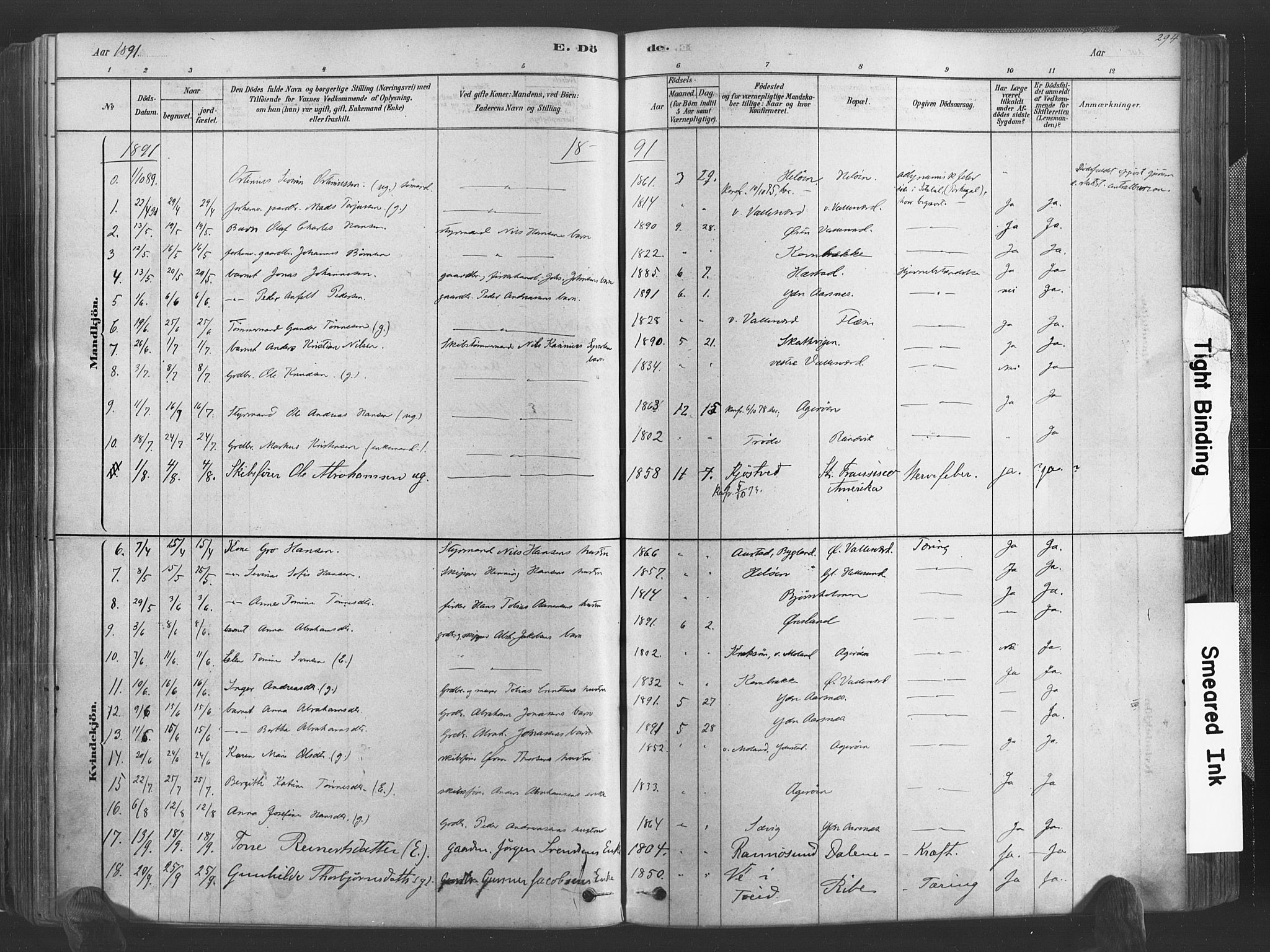 Høvåg sokneprestkontor, SAK/1111-0025/F/Fa/L0005: Parish register (official) no. A 5, 1878-1893, p. 294