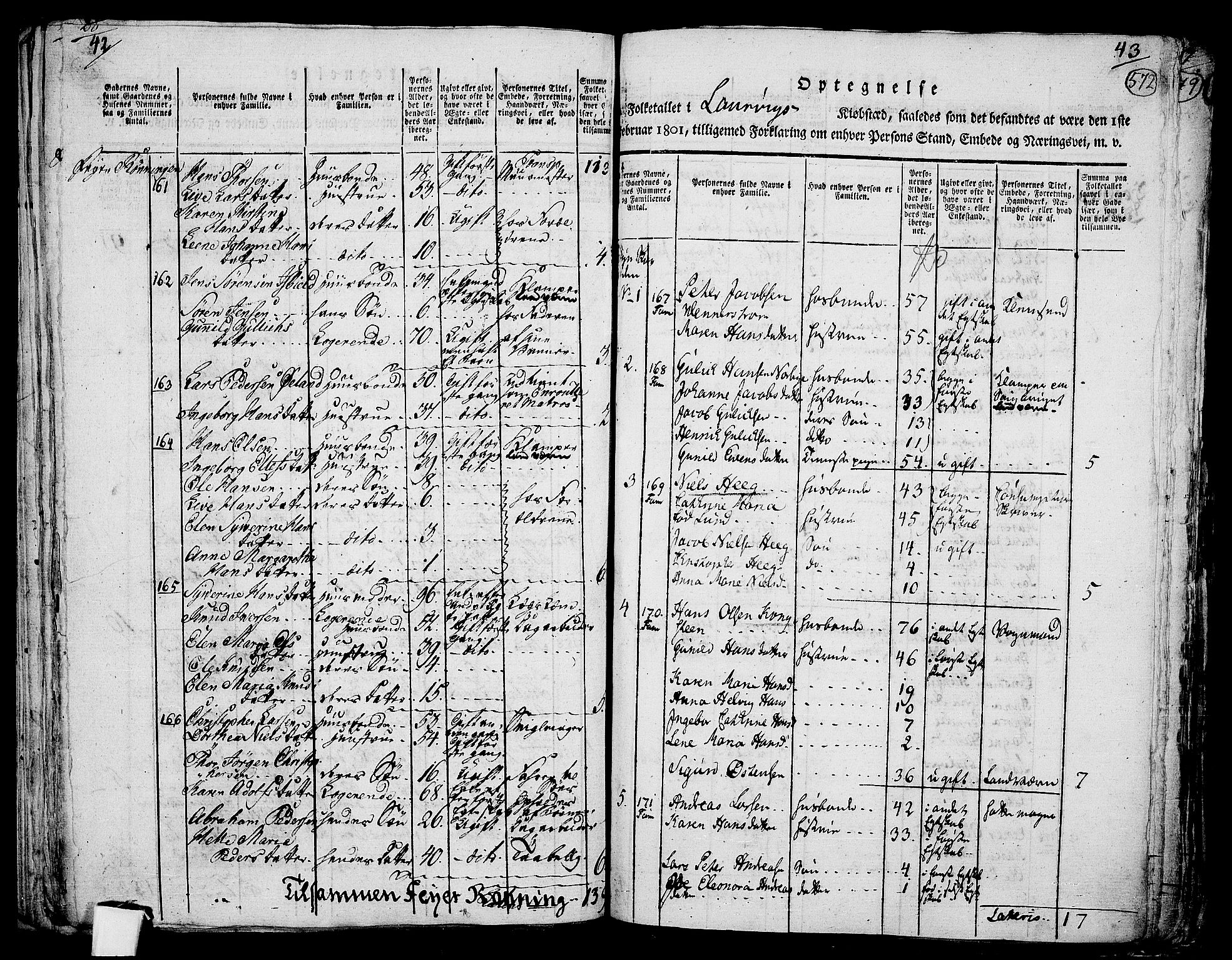 RA, 1801 census for 0707P Larvik, 1801, p. 571b-572a