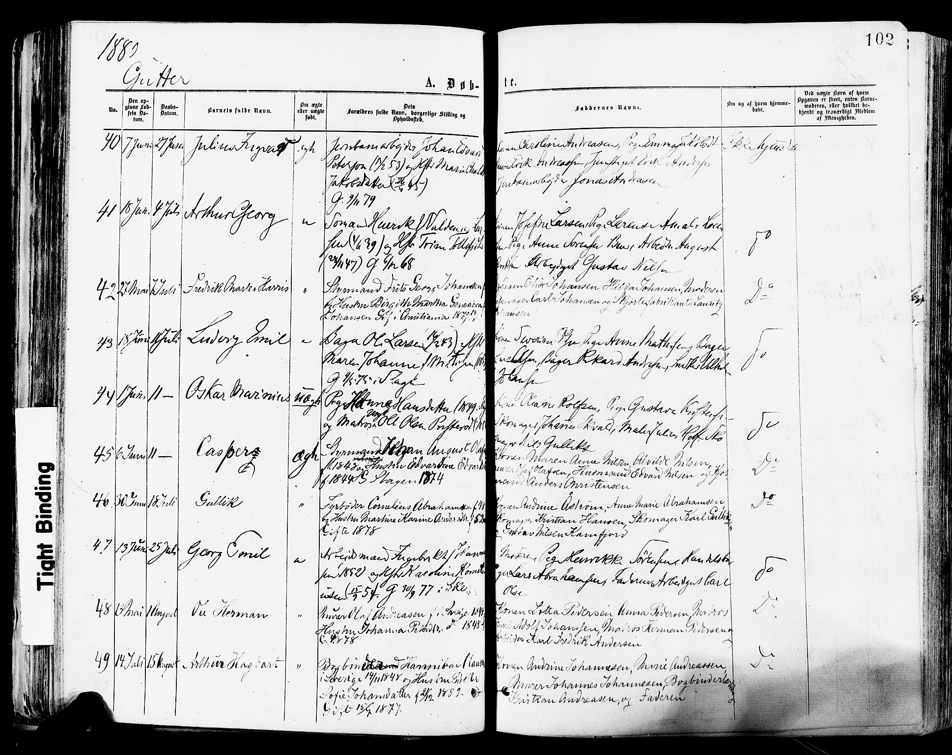Tønsberg kirkebøker, SAKO/A-330/F/Fa/L0010: Parish register (official) no. I 10, 1874-1880, p. 102