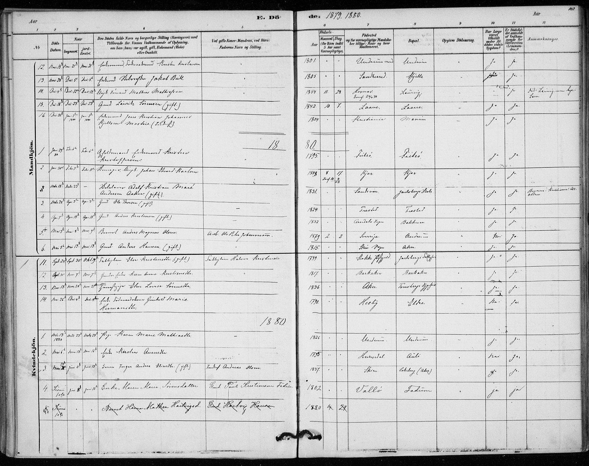 Sem kirkebøker, AV/SAKO-A-5/F/Fa/L0010: Parish register (official) no. I 10, 1878-1887, p. 103