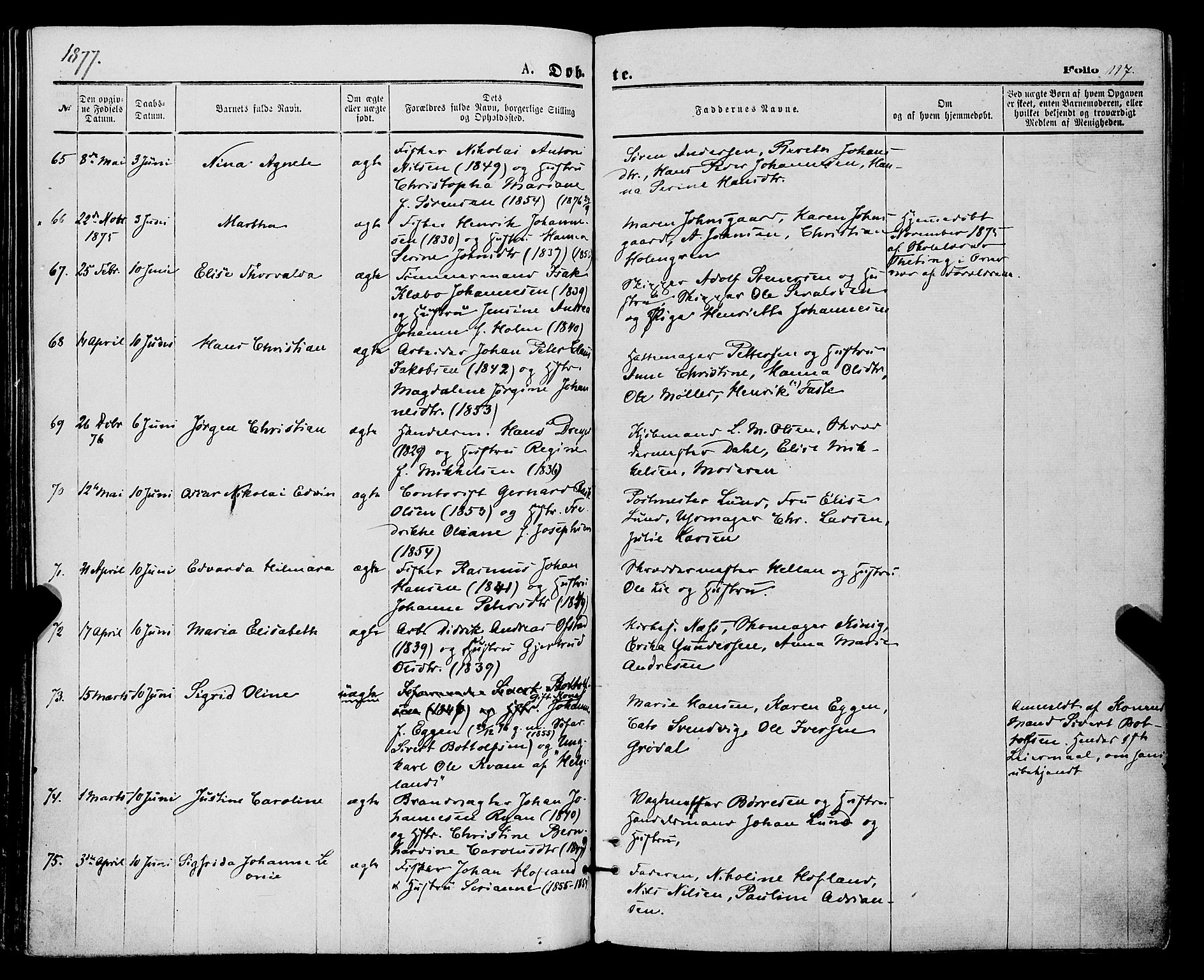 Tromsø sokneprestkontor/stiftsprosti/domprosti, SATØ/S-1343/G/Ga/L0013kirke: Parish register (official) no. 13, 1872-1877, p. 117