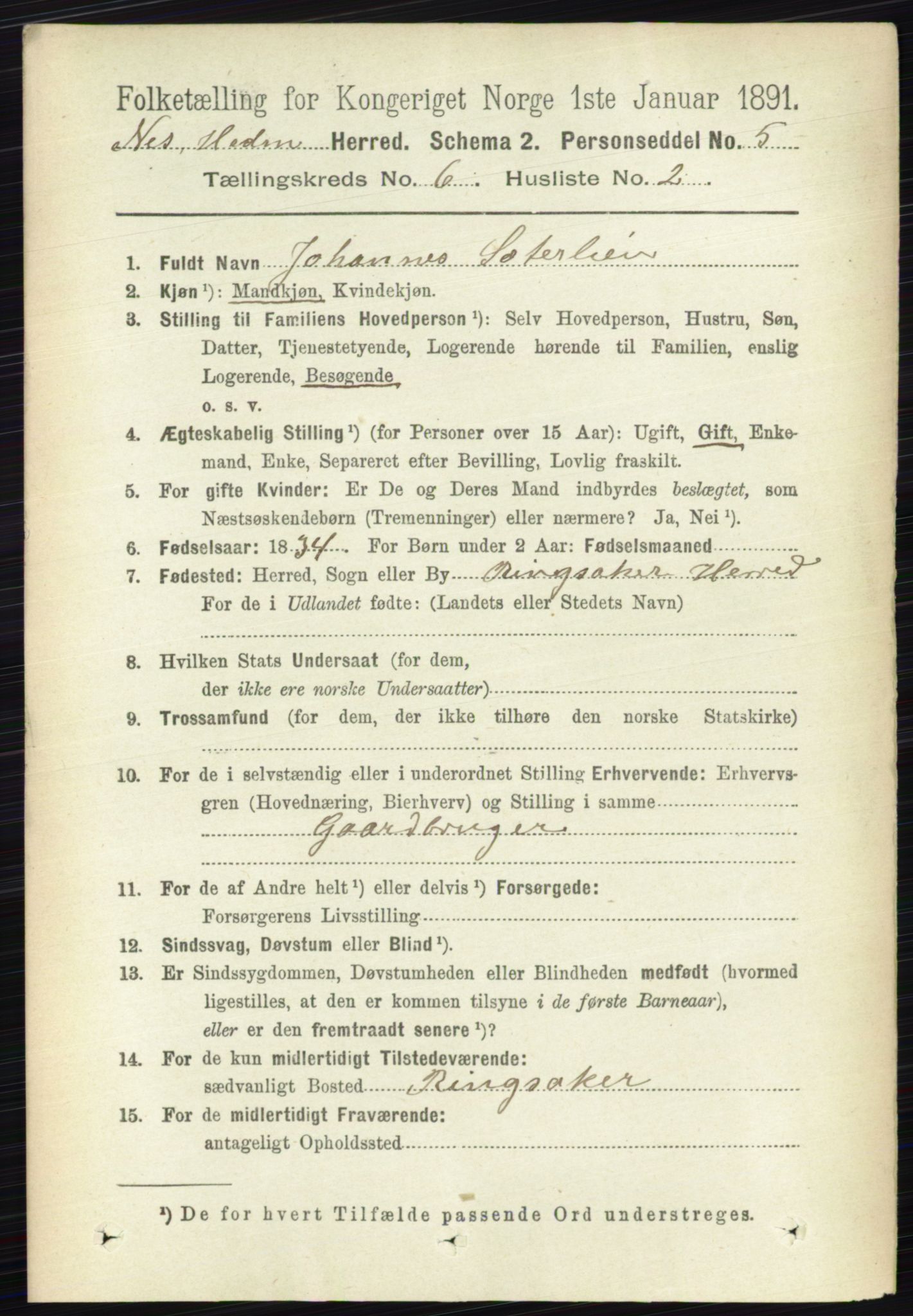 RA, 1891 census for 0411 Nes, 1891, p. 3275