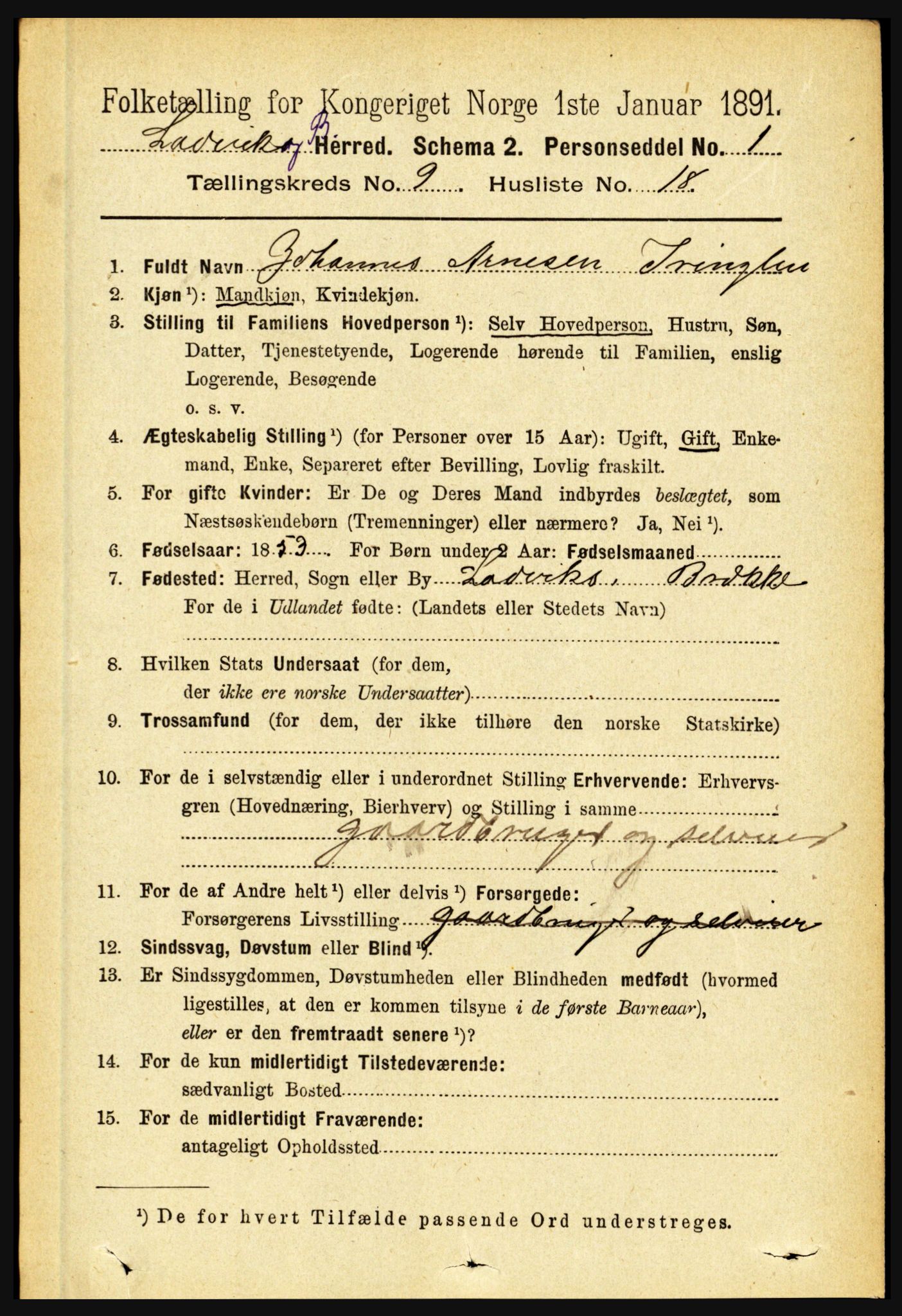 RA, 1891 census for 1415 Lavik og Brekke, 1891, p. 1928
