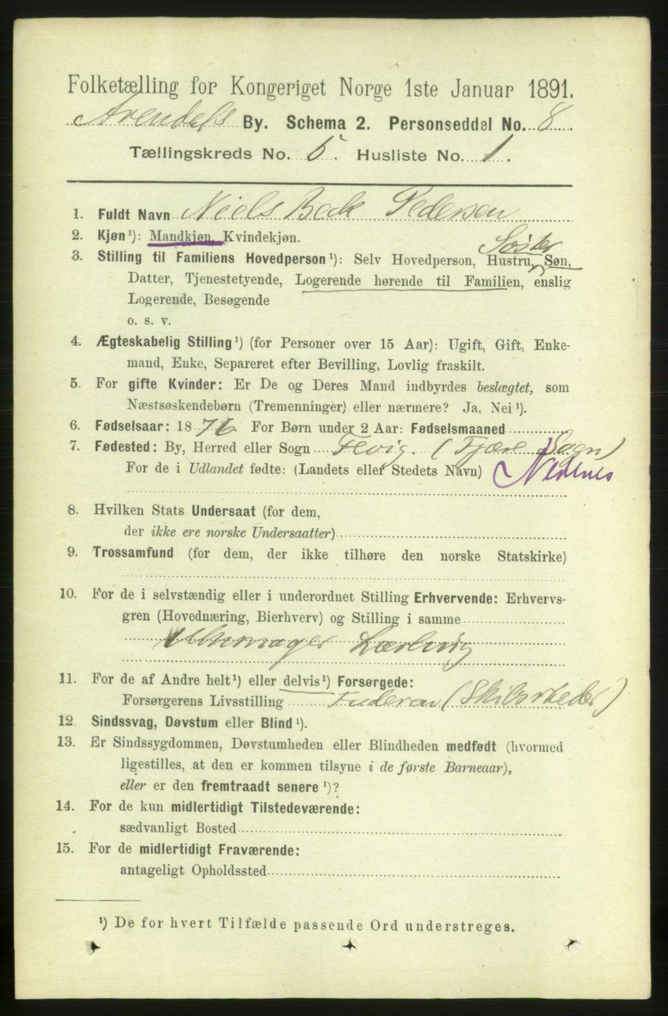 RA, 1891 census for 0903 Arendal, 1891, p. 1796