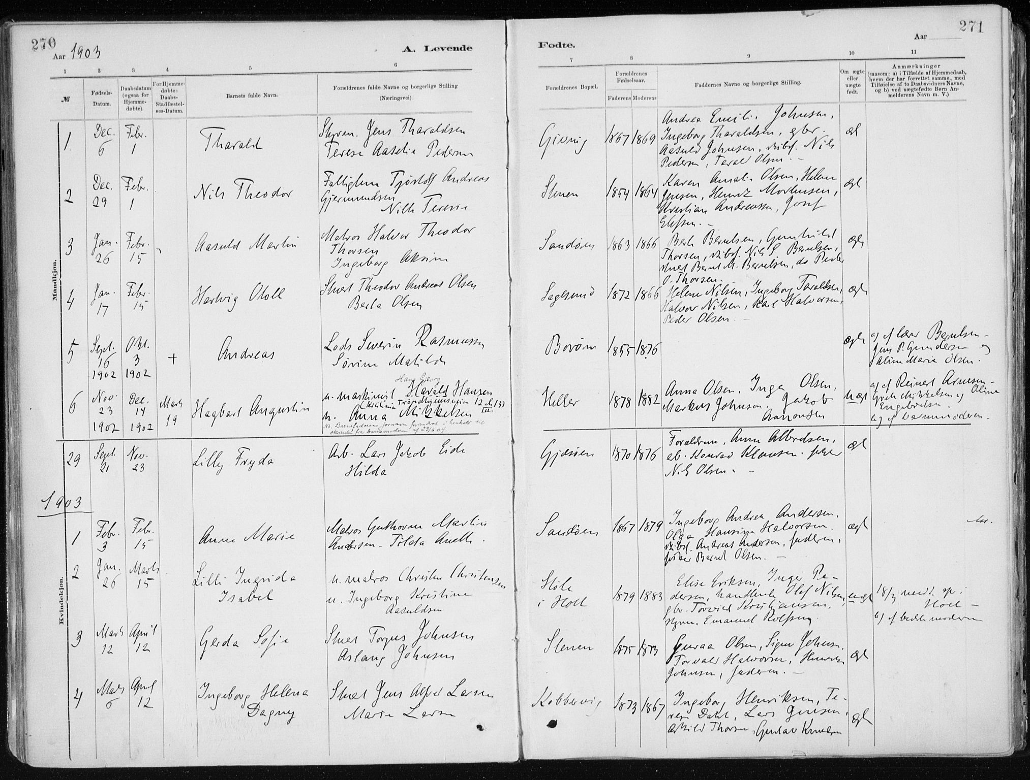 Dypvåg sokneprestkontor, SAK/1111-0007/F/Fa/Faa/L0008: Parish register (official) no. A 8, 1885-1906, p. 270-271