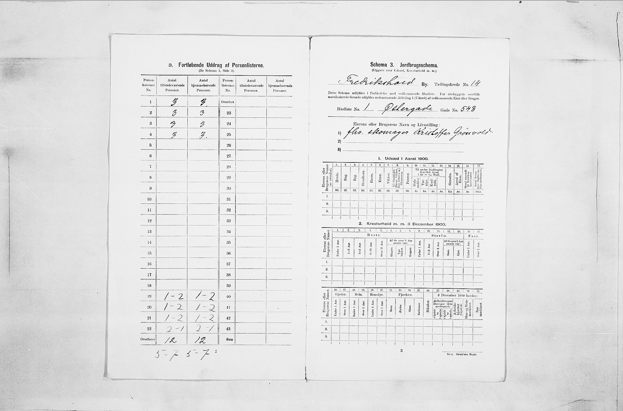 SAO, 1900 census for Fredrikshald, 1900, p. 3900
