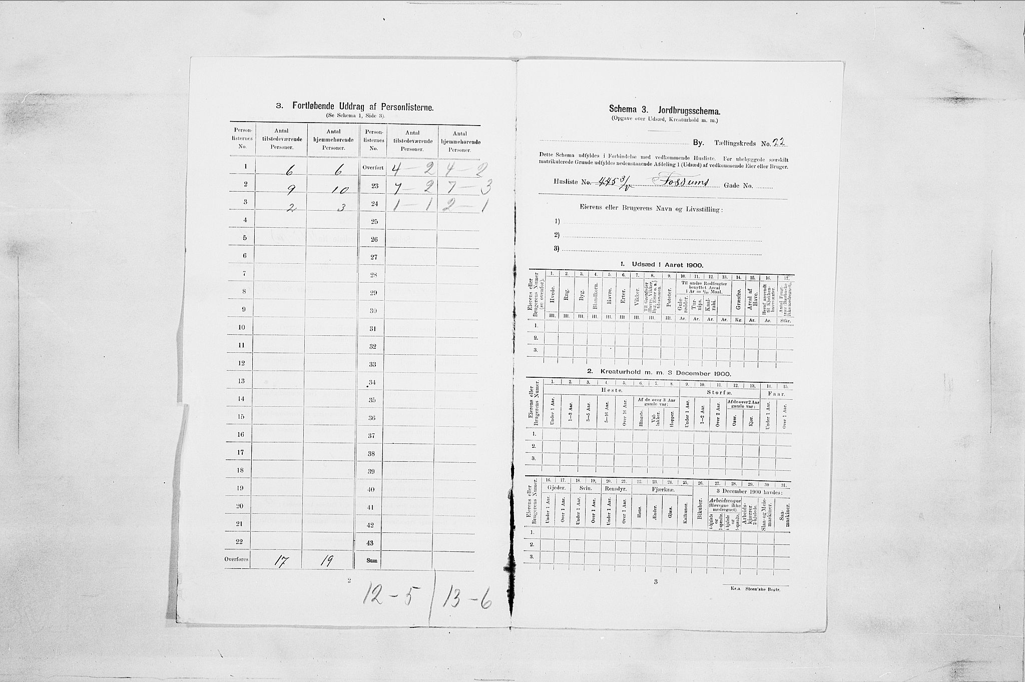 SAO, 1900 census for Fredrikstad, 1900