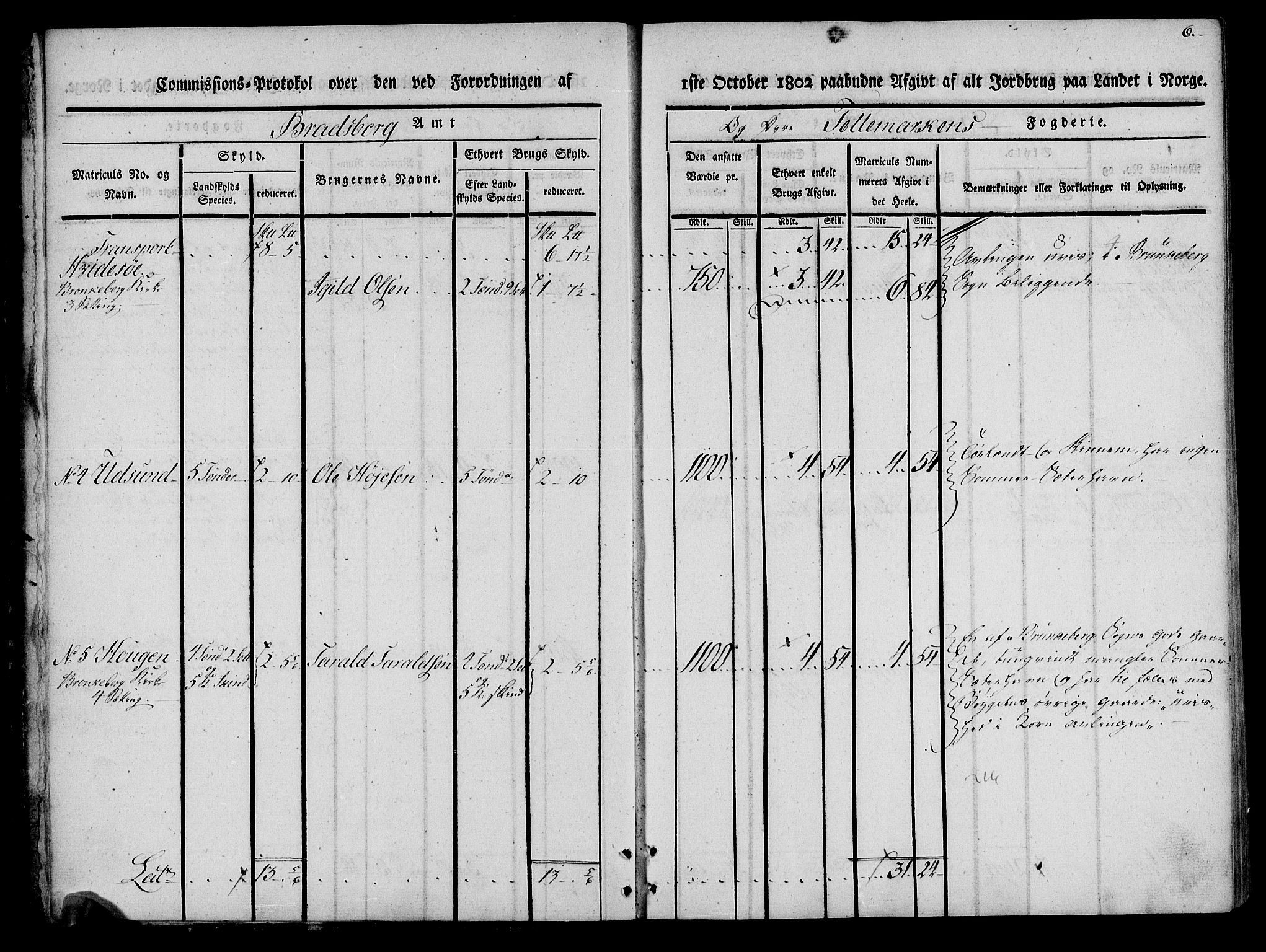 Rentekammeret inntil 1814, Realistisk ordnet avdeling, AV/RA-EA-4070/N/Ne/Nea/L0075: Øvre Telemarken fogderi. Kommisjonsprotokoll for fogderiets vestre del - Kviteseid, Vinje, Moland [):Fyresdal] og Lårdal prestegjeld., 1803, p. 6