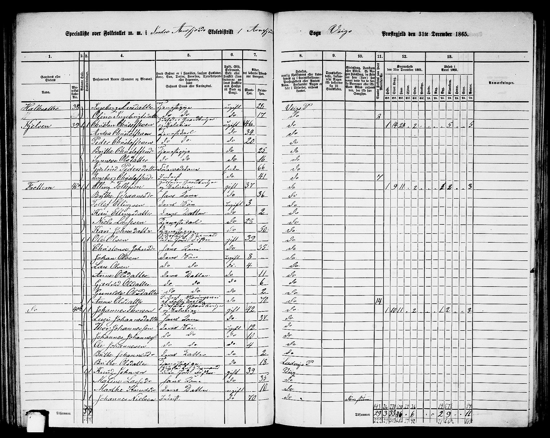 RA, 1865 census for Vik, 1865, p. 89