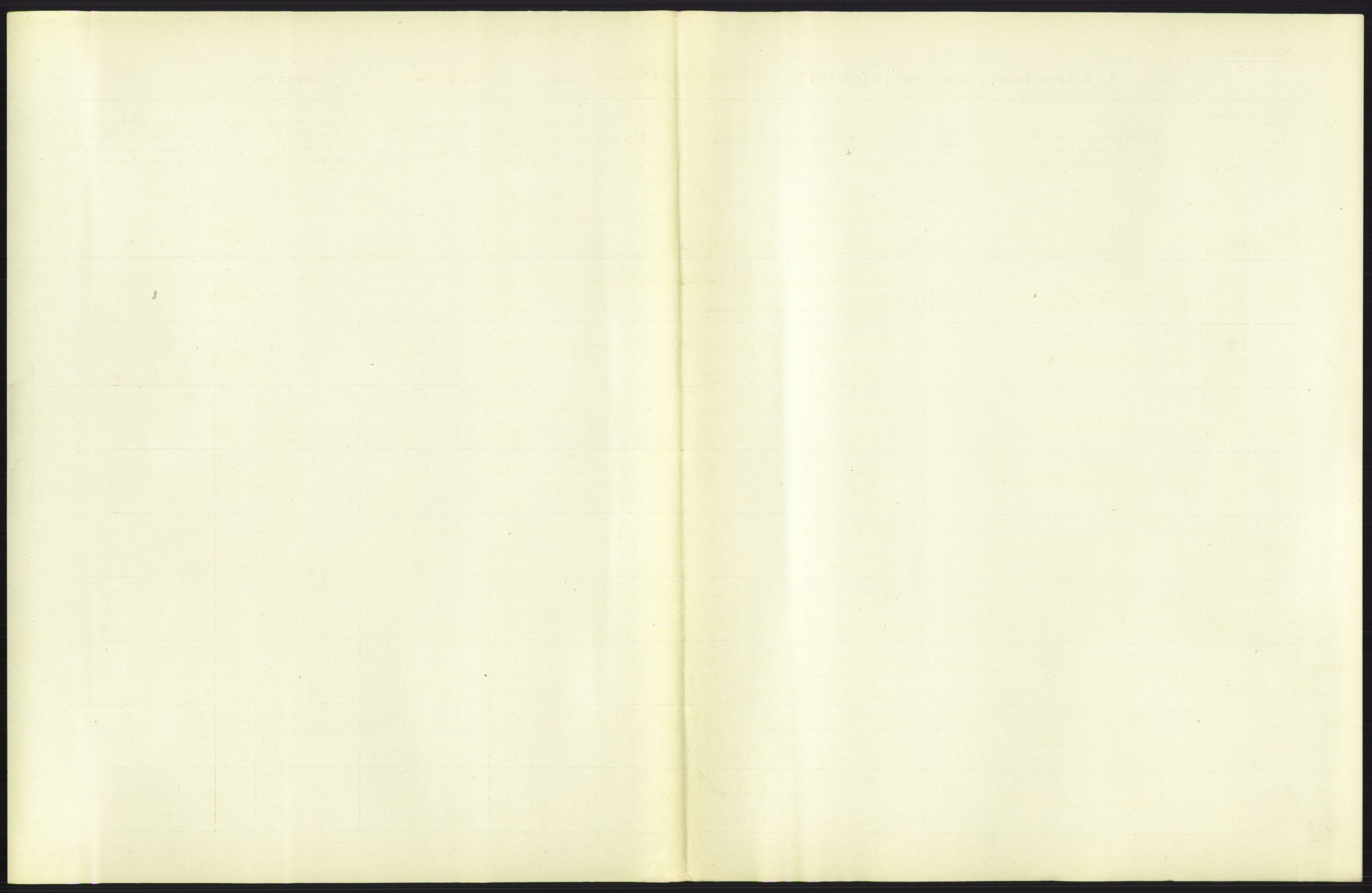 Statistisk sentralbyrå, Sosiodemografiske emner, Befolkning, RA/S-2228/D/Df/Dfb/Dfba/L0006: Kristiania: Levendefødte menn., 1911, p. 41