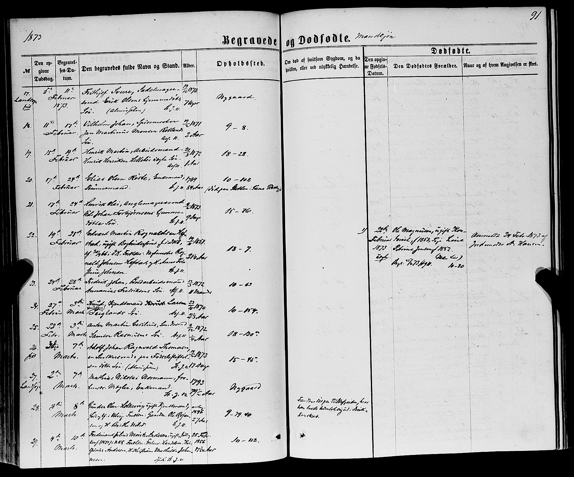 Domkirken sokneprestembete, AV/SAB-A-74801/H/Haa/L0042: Parish register (official) no. E 3, 1863-1876, p. 91