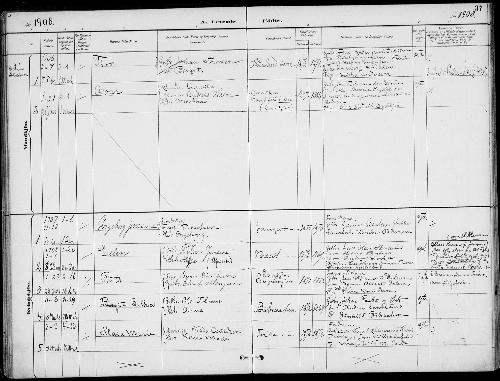 Austre Moland sokneprestkontor, SAK/1111-0001/F/Fa/Faa/L0011: Parish register (official) no. A 11, 1894-1915, p. 37