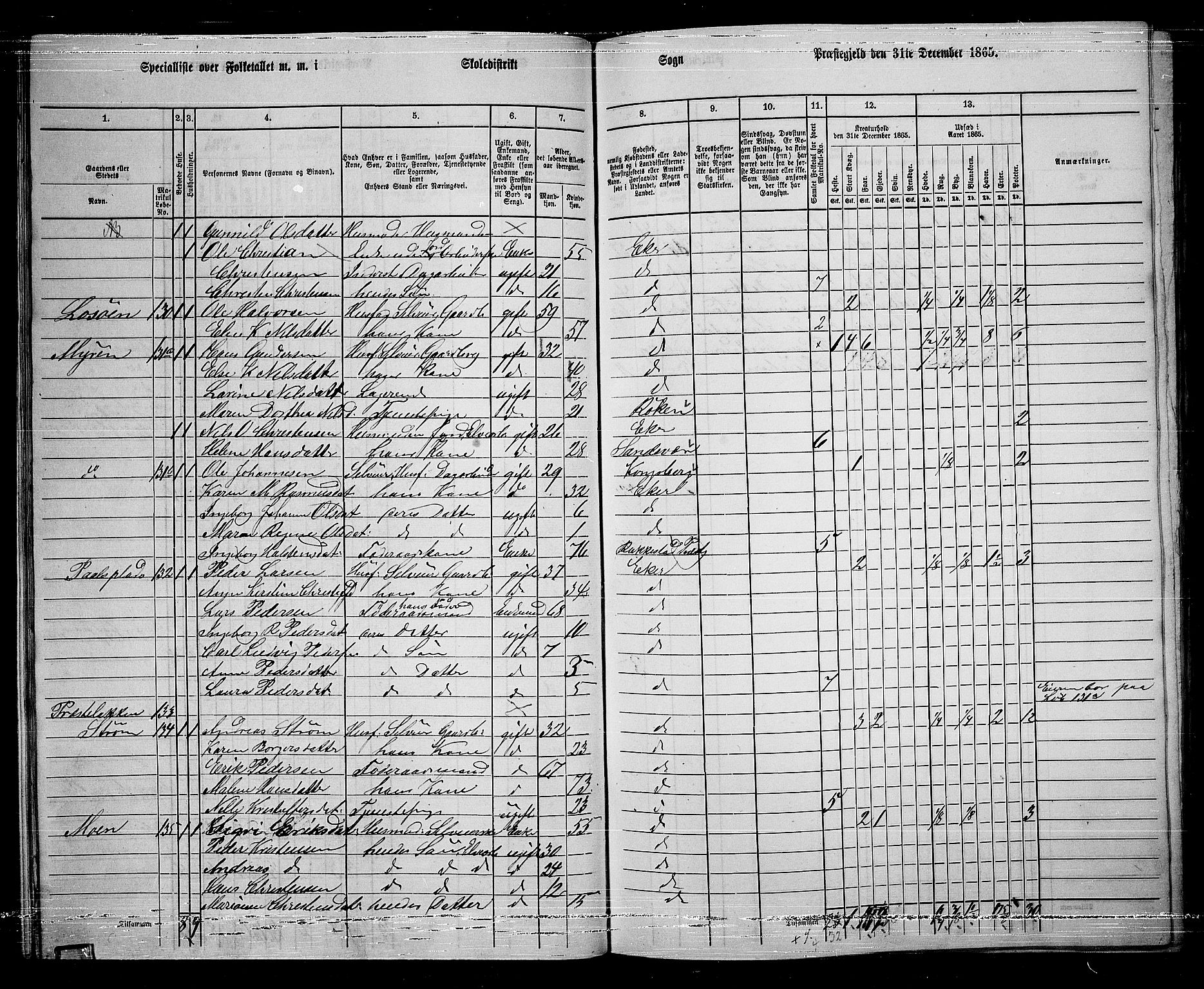 RA, 1865 census for Eiker, 1865, p. 38