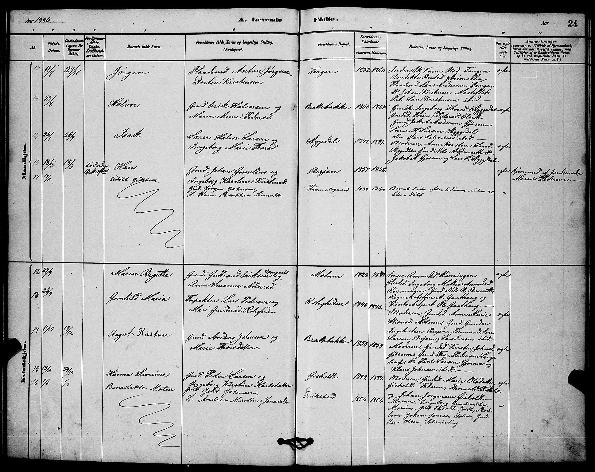 Solum kirkebøker, AV/SAKO-A-306/G/Gb/L0003: Parish register (copy) no. II 3, 1880-1898, p. 24