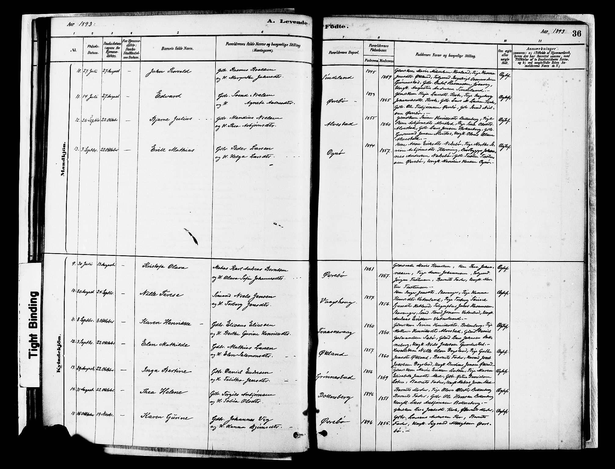 Tysvær sokneprestkontor, SAST/A -101864/H/Ha/Haa/L0007: Parish register (official) no. A 7, 1878-1897, p. 36