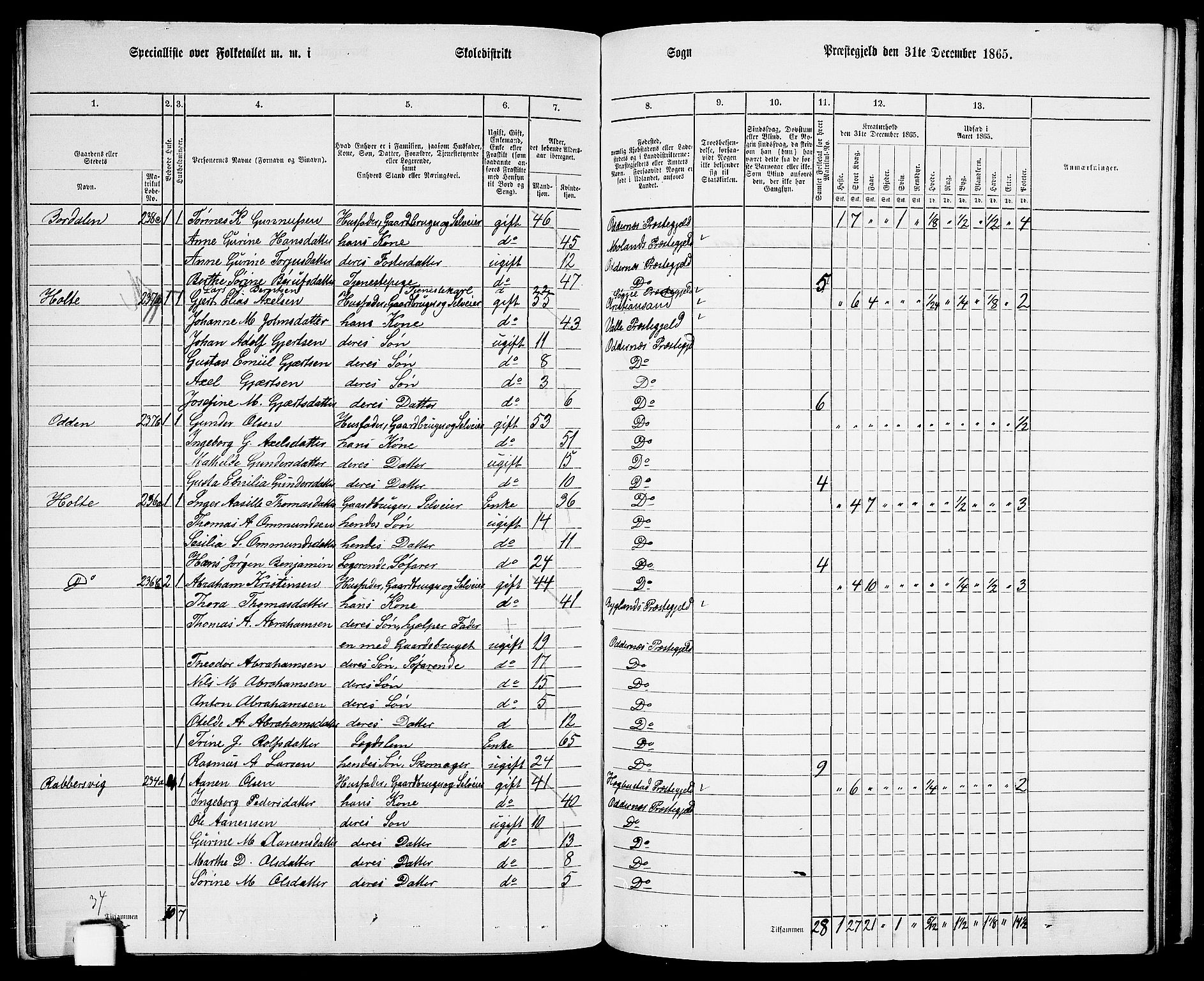 RA, 1865 census for Oddernes, 1865, p. 136