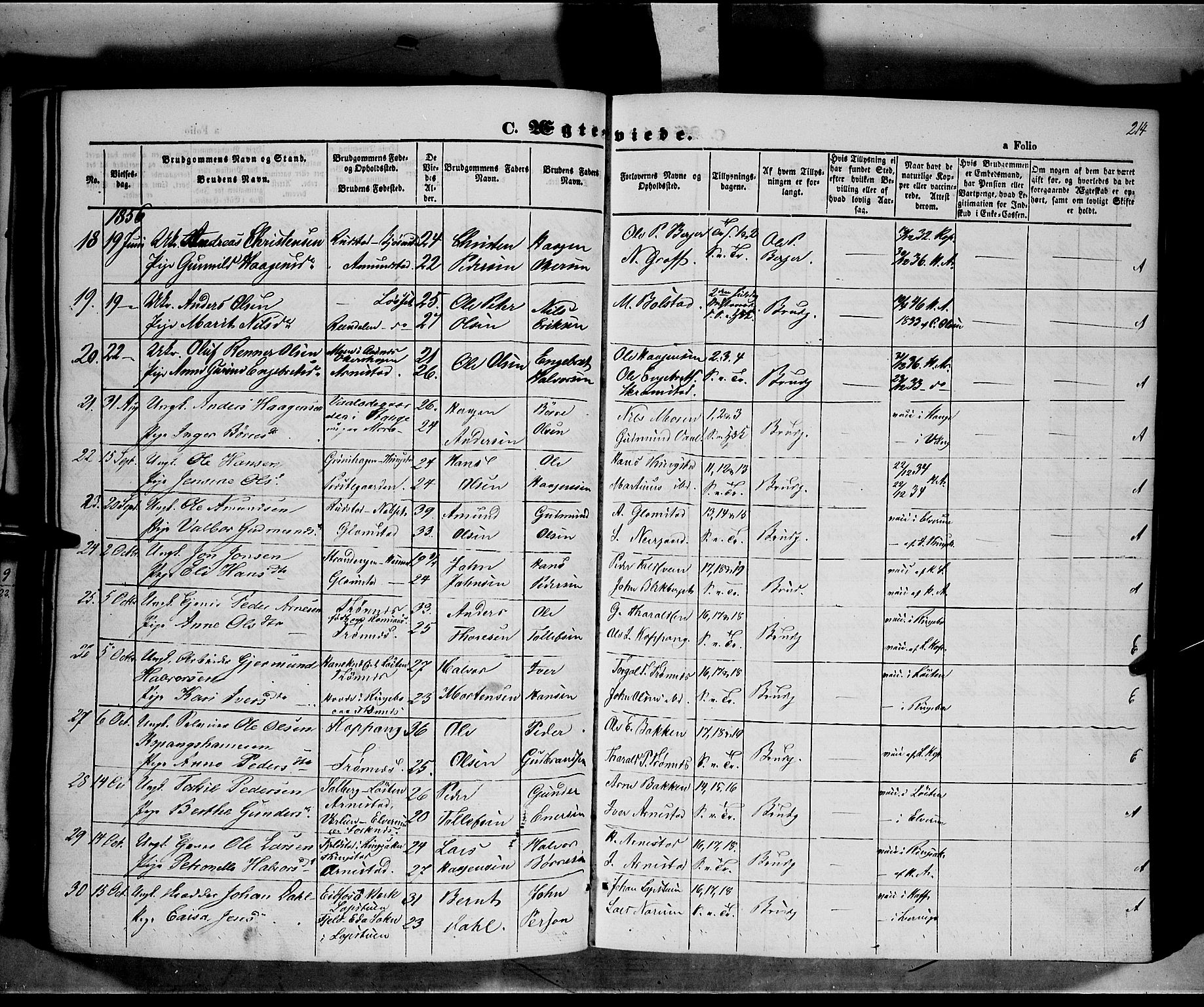 Åmot prestekontor, Hedmark, SAH/PREST-056/H/Ha/Haa/L0006: Parish register (official) no. 6, 1842-1861, p. 214