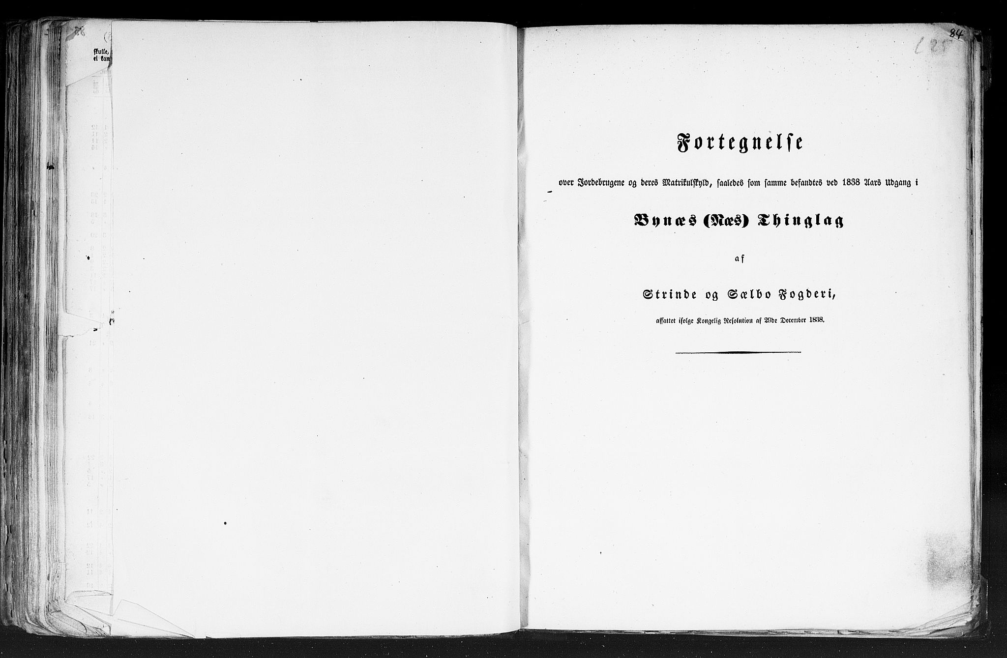 Rygh, AV/RA-PA-0034/F/Fb/L0014: Matrikkelen for 1838 - Søndre Trondhjems amt (Sør-Trøndelag fylke), 1838, p. 84a