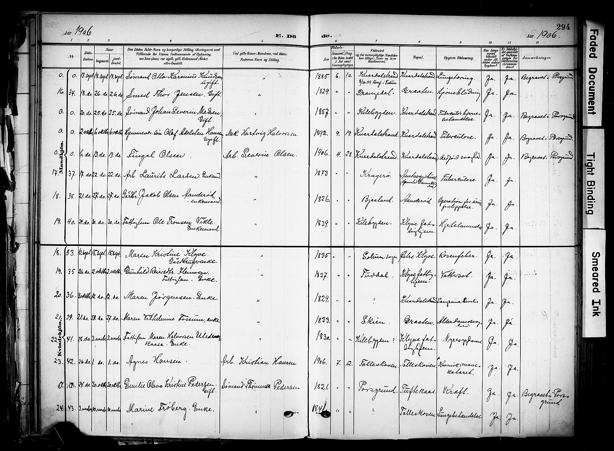 Solum kirkebøker, AV/SAKO-A-306/F/Fa/L0011: Parish register (official) no. I 11, 1898-1909, p. 294