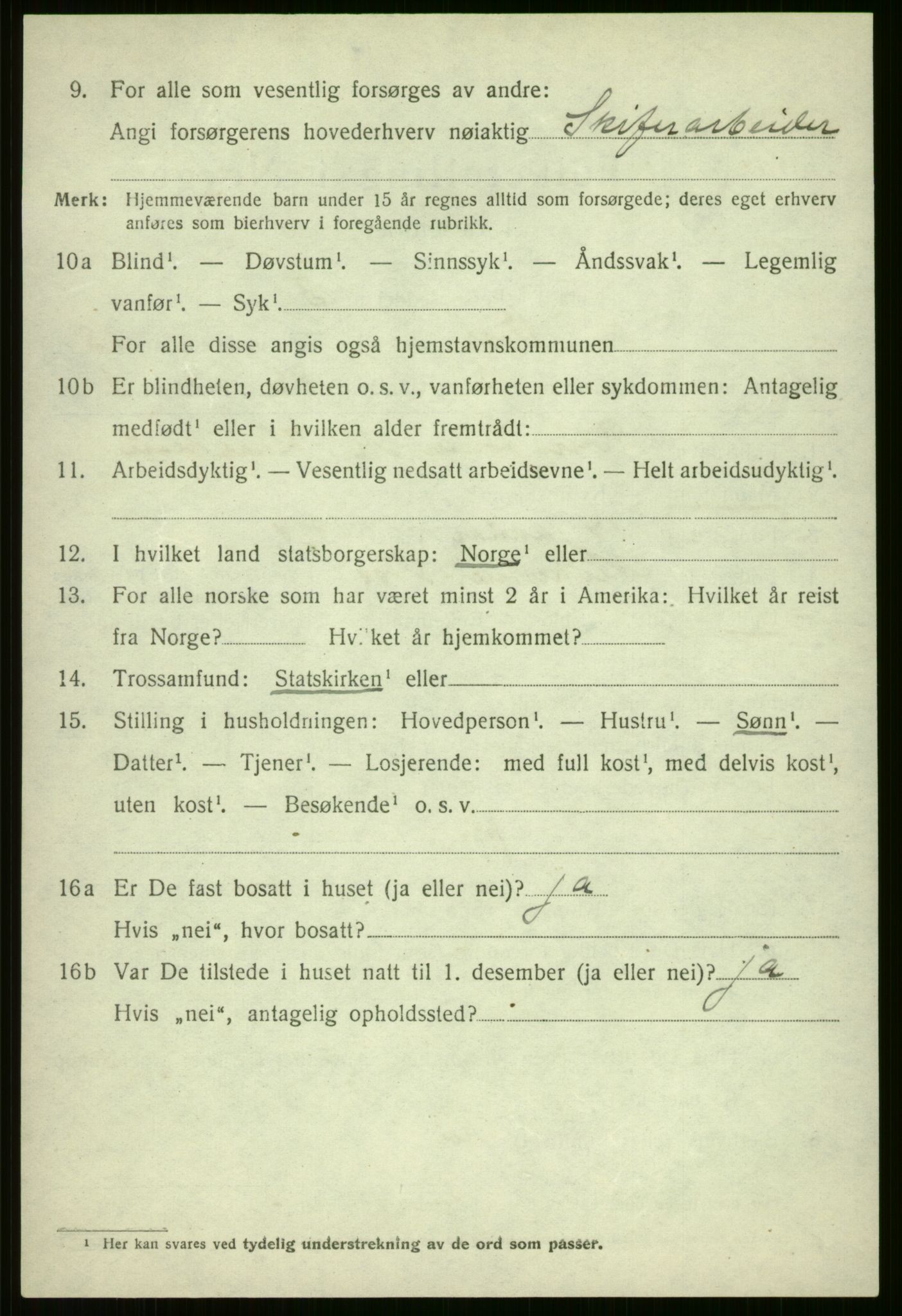 SAB, 1920 census for Voss, 1920, p. 11302