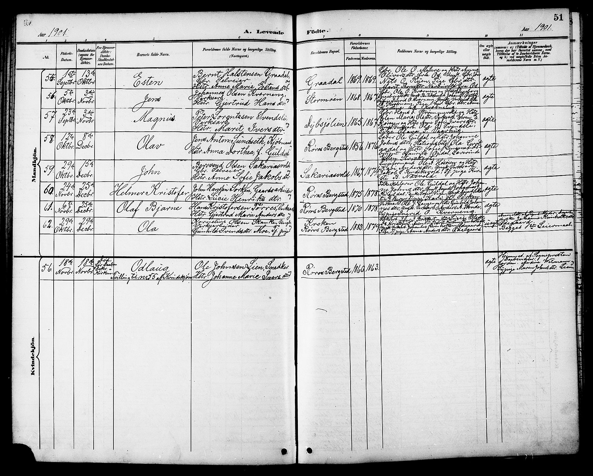 Ministerialprotokoller, klokkerbøker og fødselsregistre - Sør-Trøndelag, SAT/A-1456/681/L0941: Parish register (copy) no. 681C05, 1896-1905, p. 51