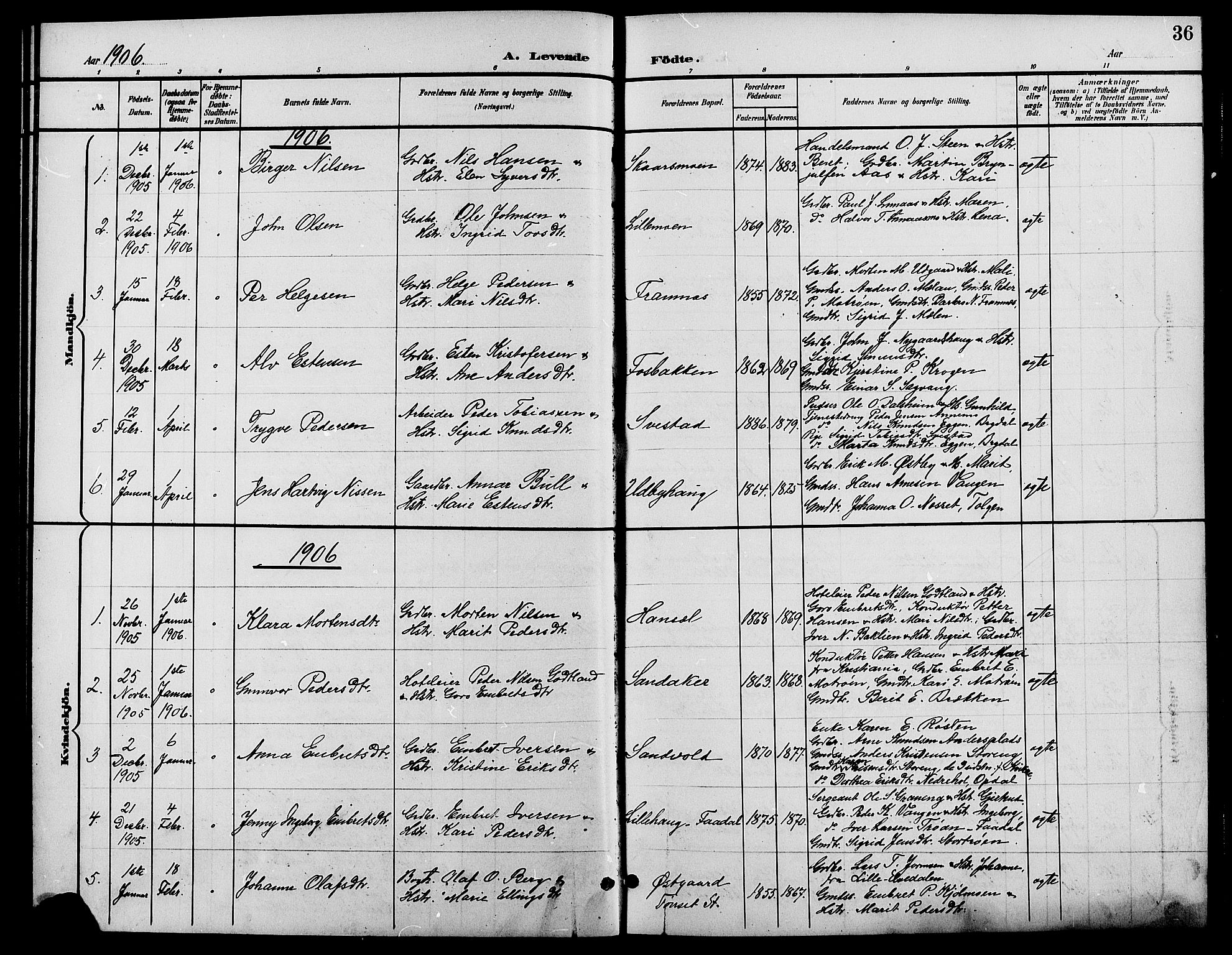 Tynset prestekontor, SAH/PREST-058/H/Ha/Hab/L0009: Parish register (copy) no. 9, 1900-1914, p. 36