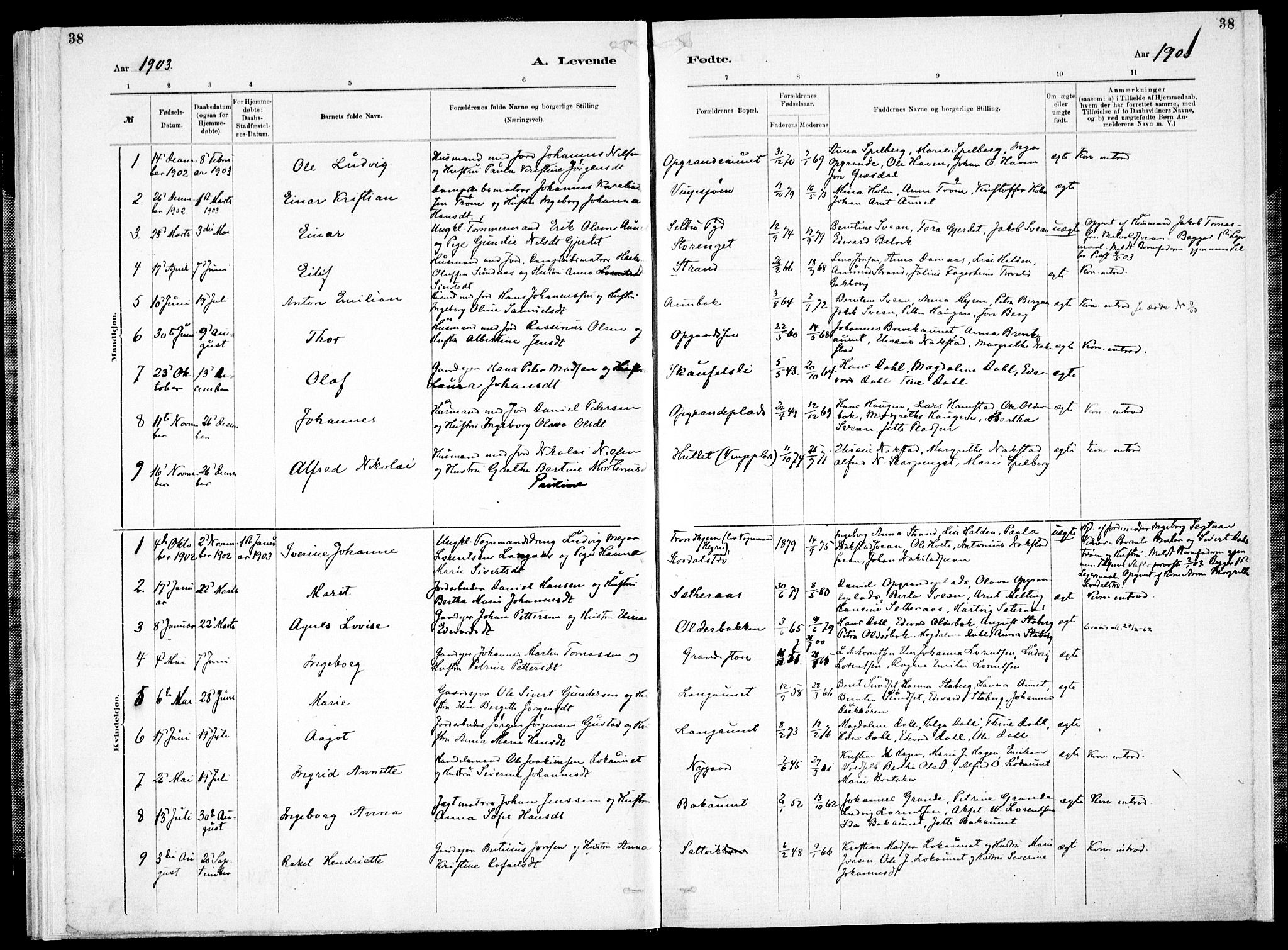 Ministerialprotokoller, klokkerbøker og fødselsregistre - Nord-Trøndelag, SAT/A-1458/733/L0325: Parish register (official) no. 733A04, 1884-1908, p. 38