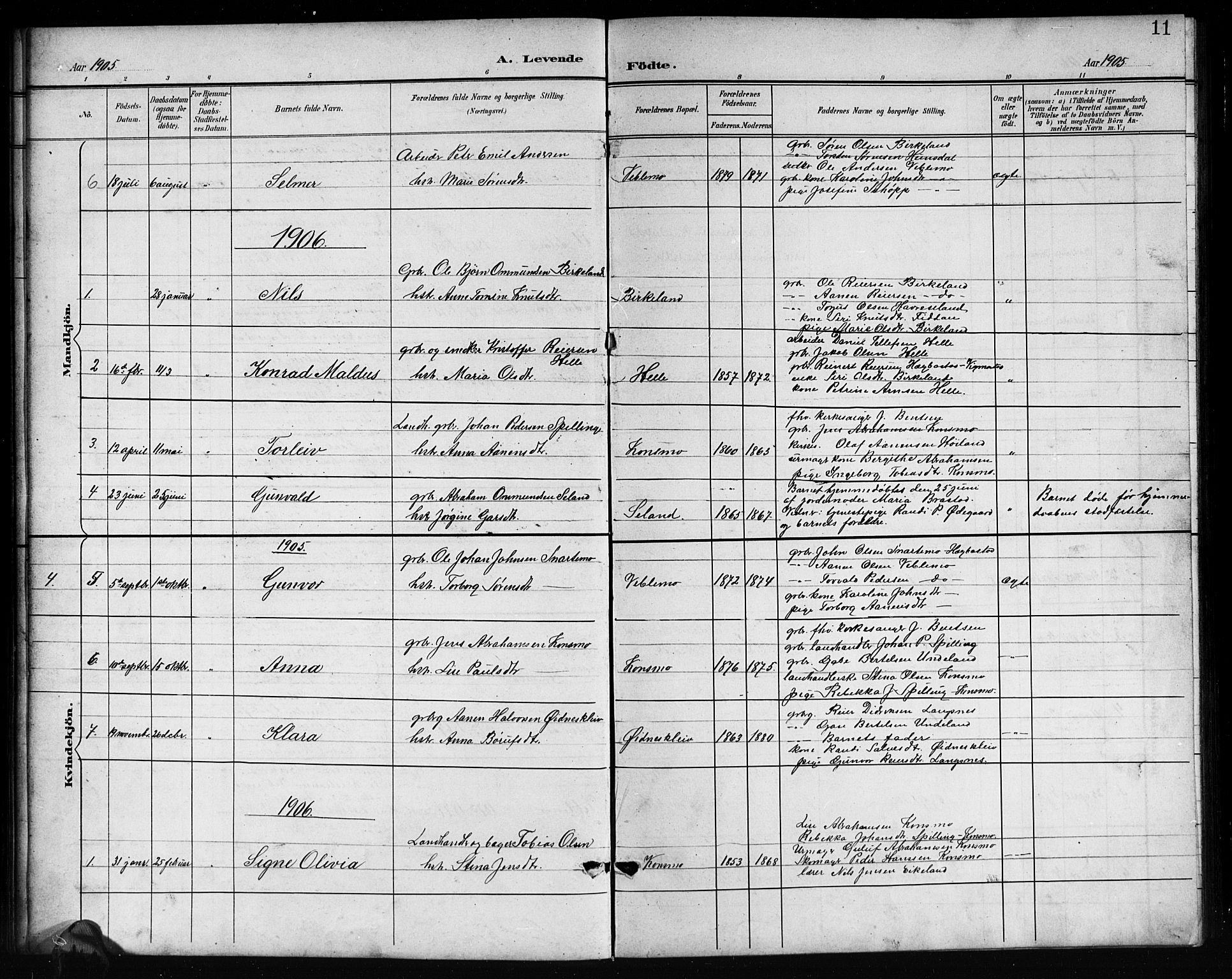 Nord-Audnedal sokneprestkontor, AV/SAK-1111-0032/F/Fb/Fba/L0004: Parish register (copy) no. B 4, 1901-1917, p. 11