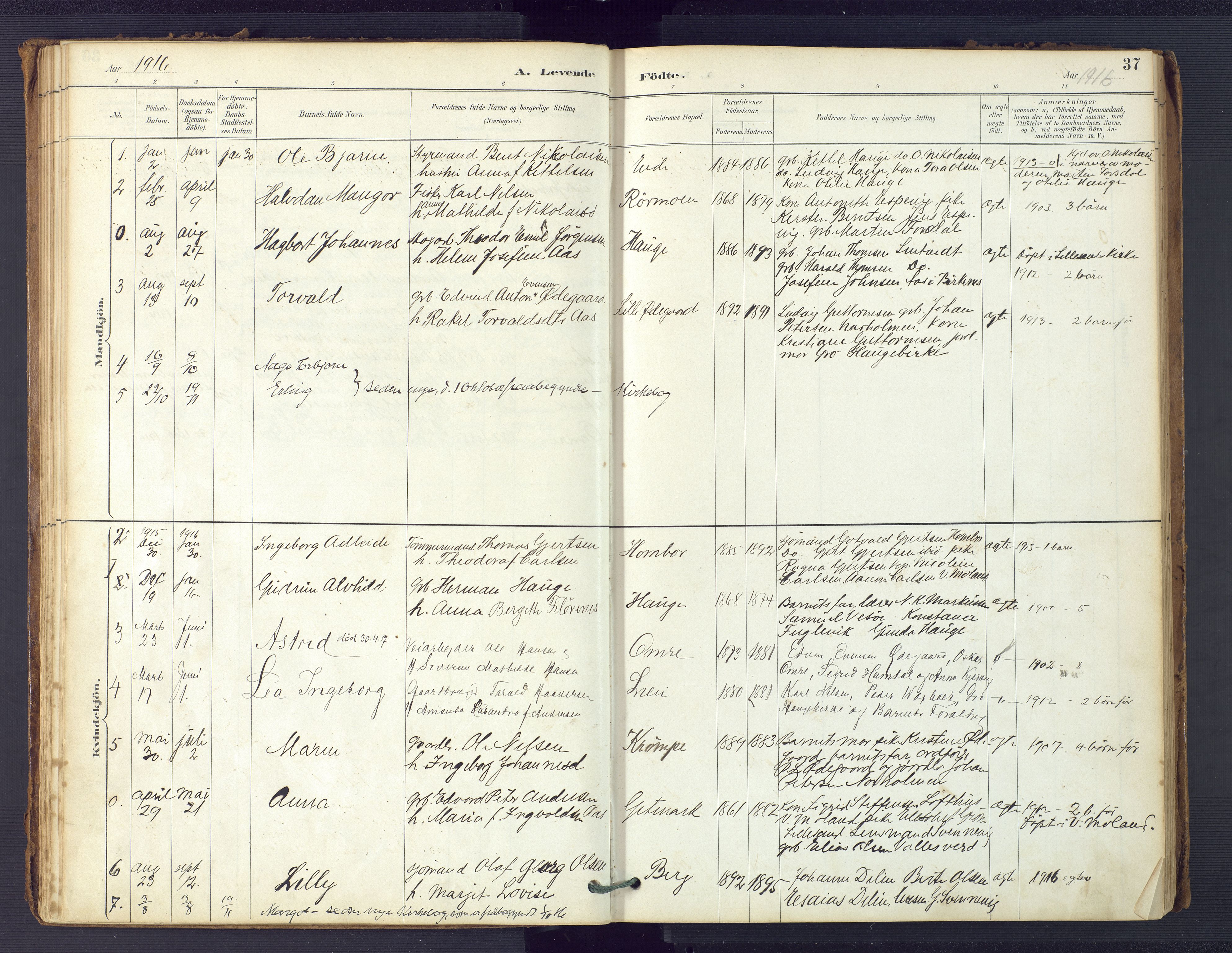 Hommedal sokneprestkontor, SAK/1111-0023/F/Fa/Faa/L0003: Parish register (official) no. A 3, 1885-1916, p. 37