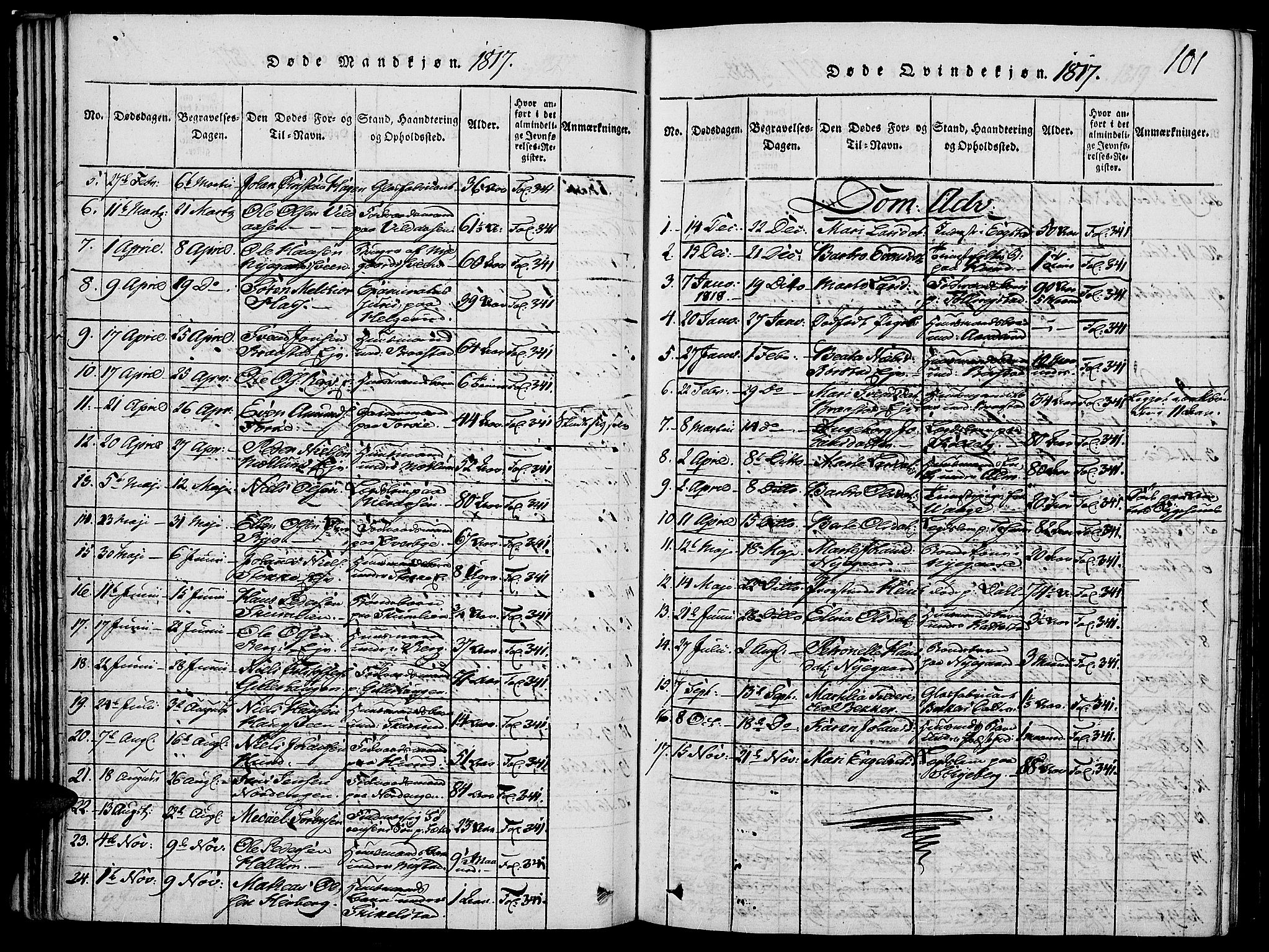 Vardal prestekontor, SAH/PREST-100/H/Ha/Haa/L0004: Parish register (official) no. 4, 1814-1831, p. 101