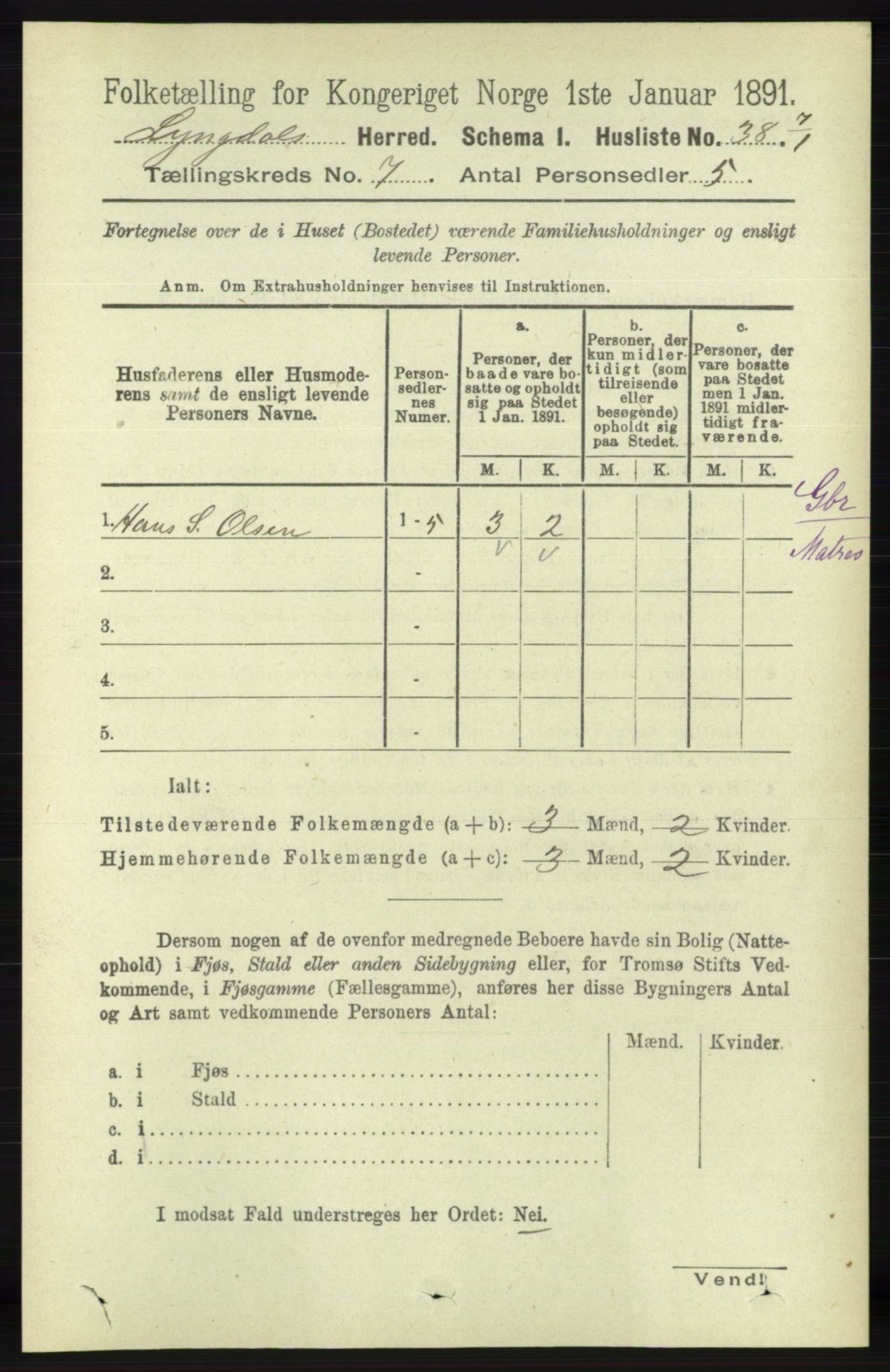 RA, 1891 census for 1032 Lyngdal, 1891, p. 2889