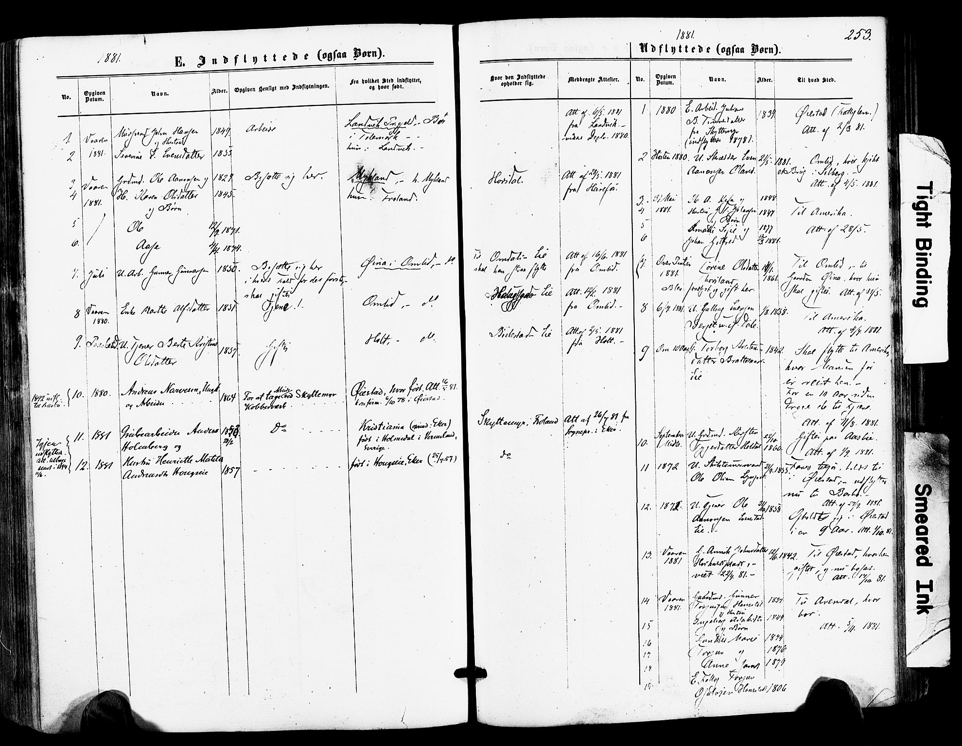 Froland sokneprestkontor, AV/SAK-1111-0013/F/Fa/L0003: Parish register (official) no. A 3, 1864-1881, p. 253