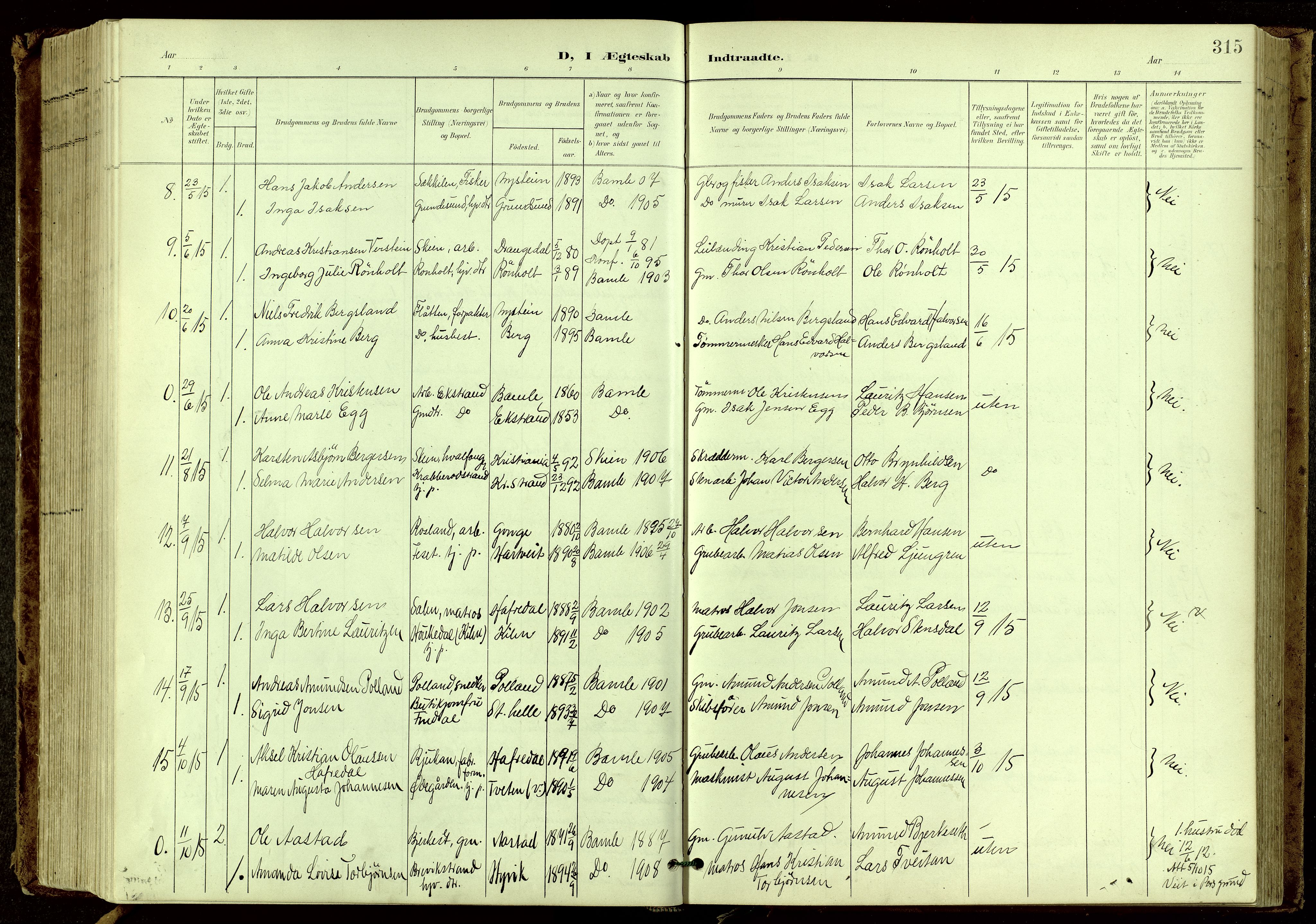 Bamble kirkebøker, SAKO/A-253/G/Ga/L0010: Parish register (copy) no. I 10, 1901-1919, p. 315