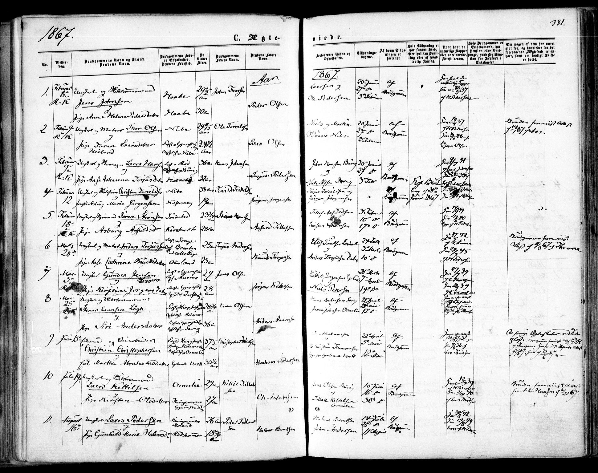 Søndeled sokneprestkontor, AV/SAK-1111-0038/F/Fa/L0003: Parish register (official) no. A 3, 1861-1879, p. 381