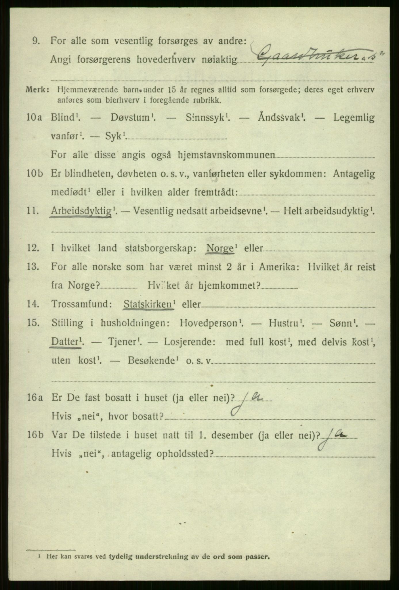 SAB, 1920 census for Voss, 1920, p. 11690