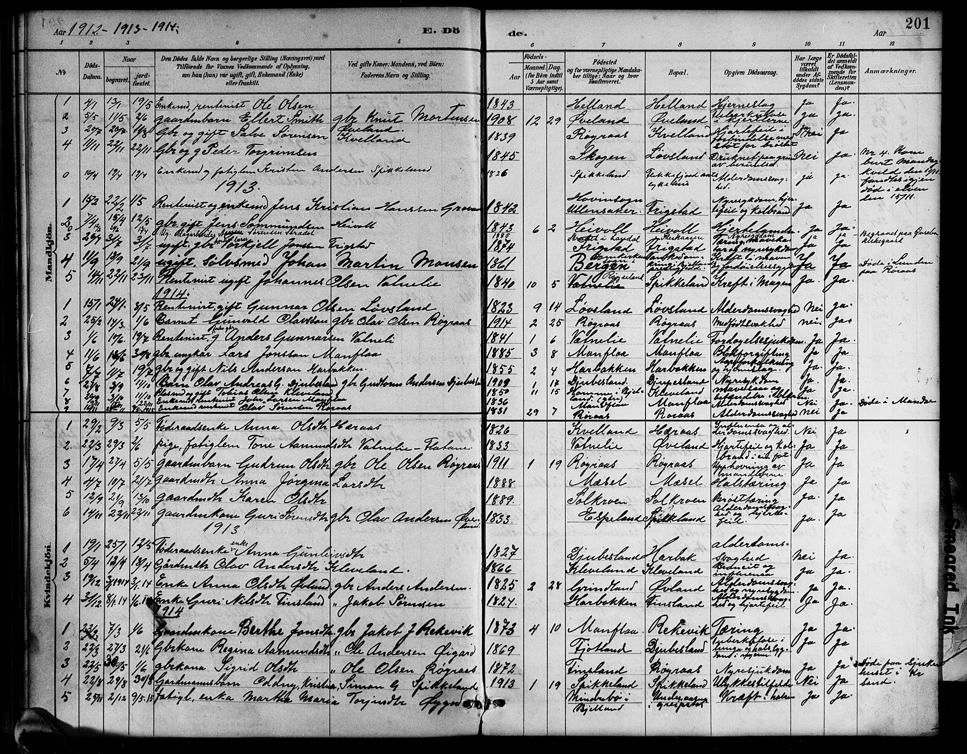 Bjelland sokneprestkontor, SAK/1111-0005/F/Fb/Fbb/L0005: Parish register (copy) no. B 5, 1887-1918, p. 201