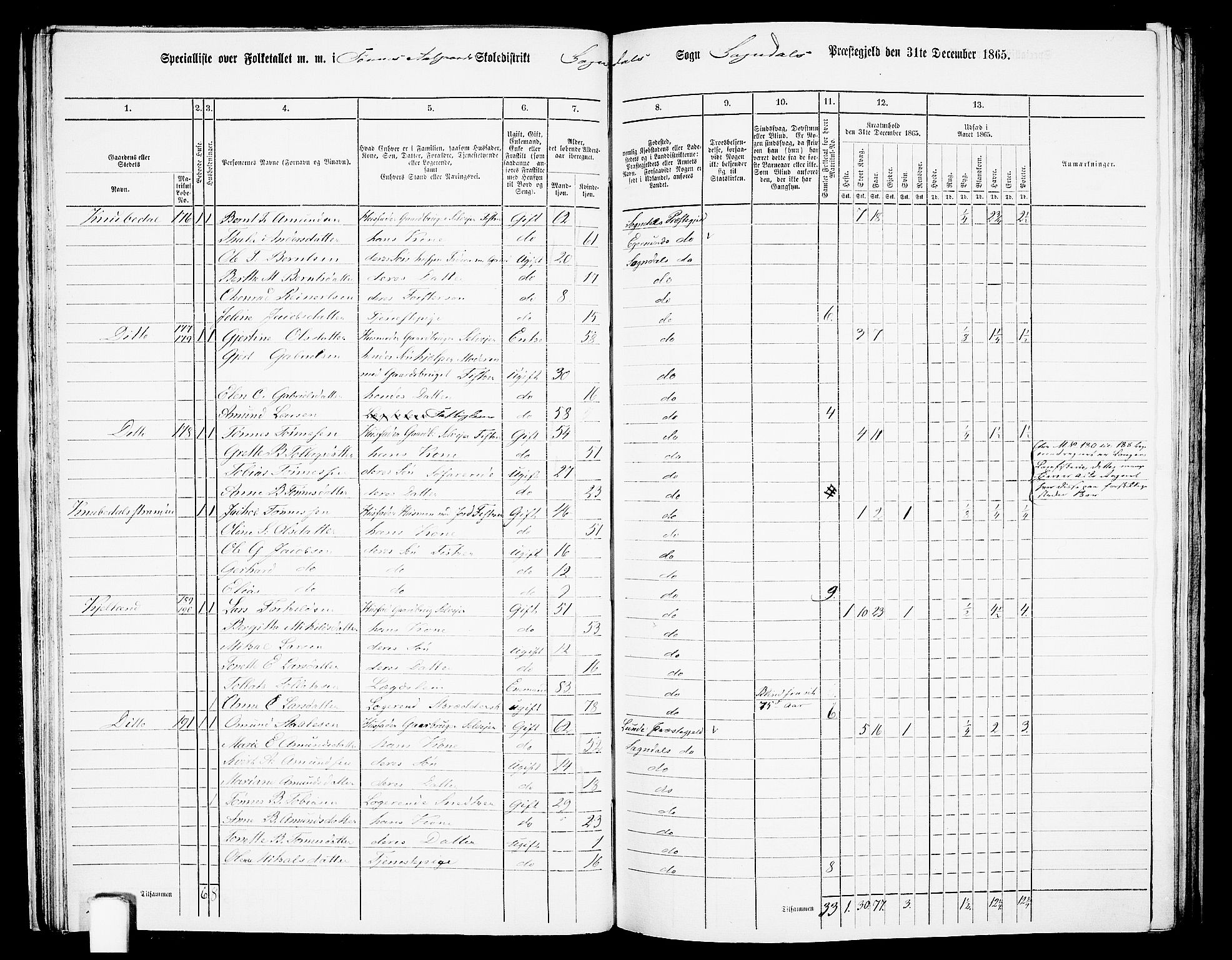 RA, 1865 census for Sokndal, 1865, p. 38