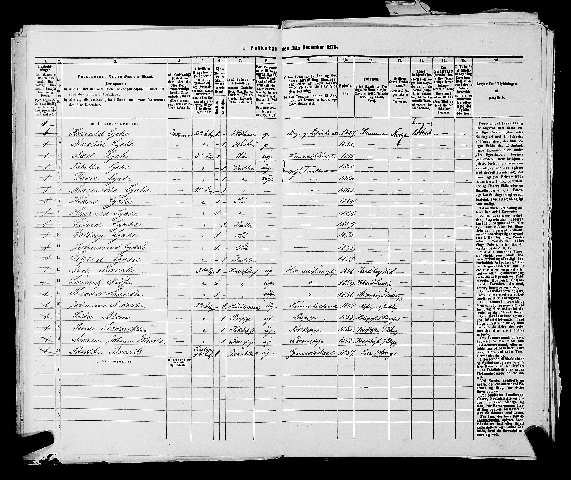 SAKO, 1875 census for 0602 Drammen, 1875, p. 1316