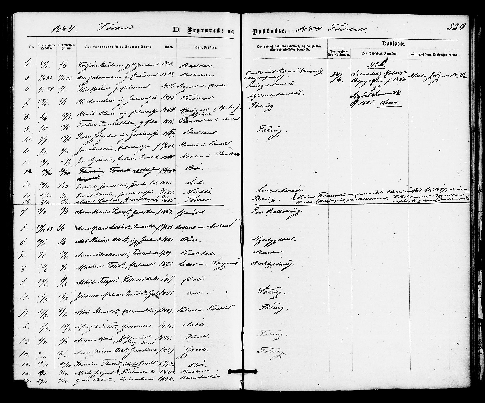 Drangedal kirkebøker, SAKO/A-258/F/Fa/L0009: Parish register (official) no. 9 /2, 1872-1884, p. 339